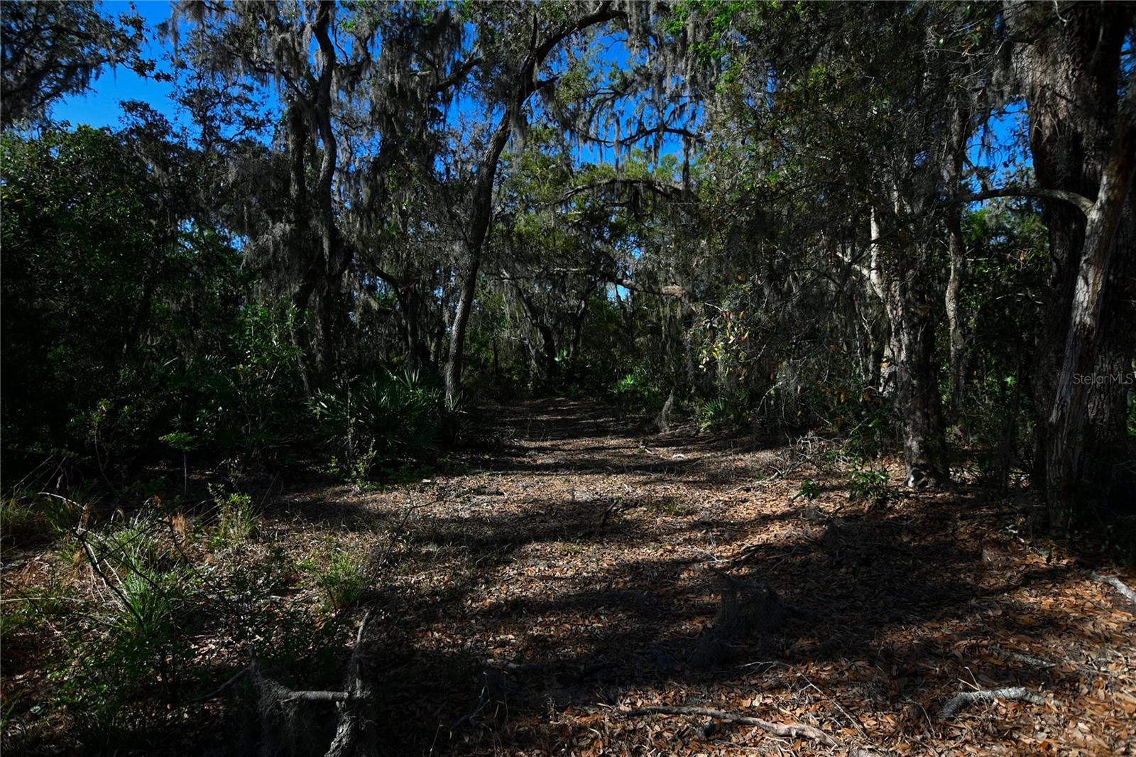 PABLO ISLAND ROAD, GROVELAND, FL, 34736