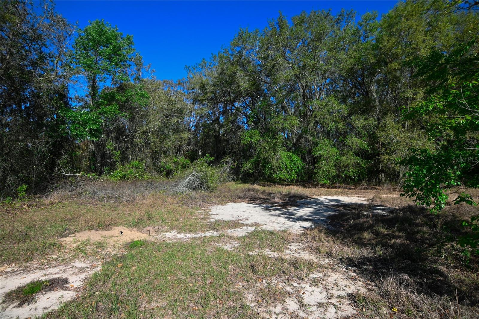 PABLO ISLAND ROAD, GROVELAND, FL, 34736