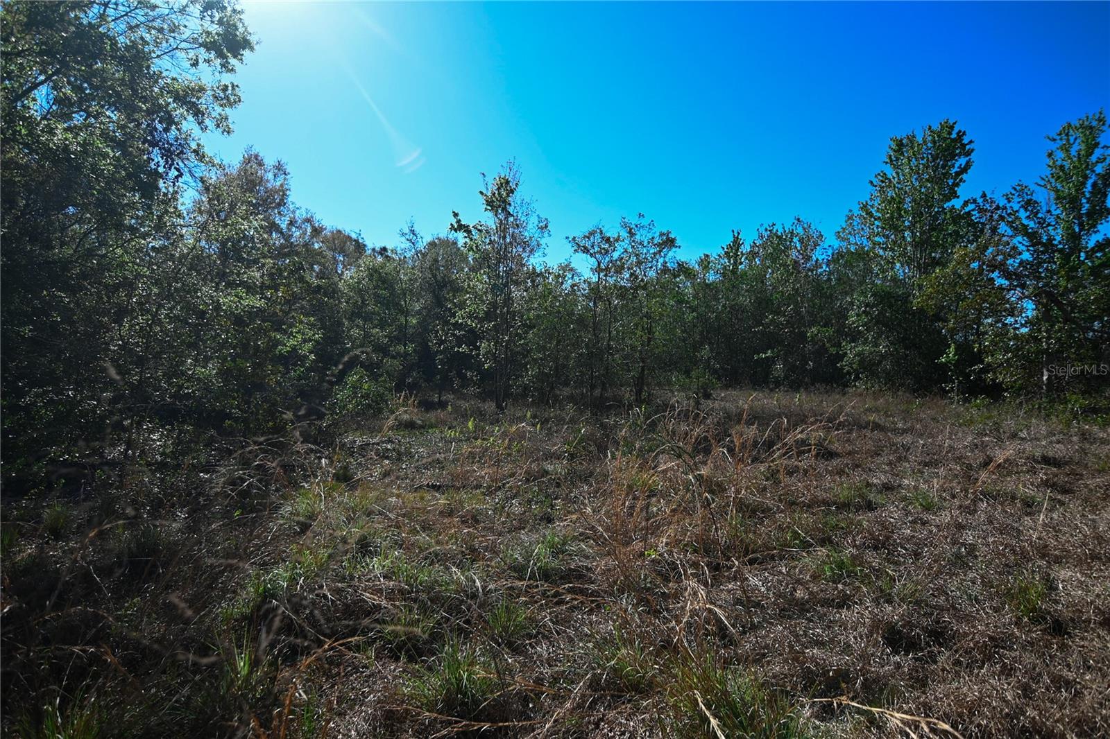 PABLO ISLAND ROAD, GROVELAND, FL, 34736
