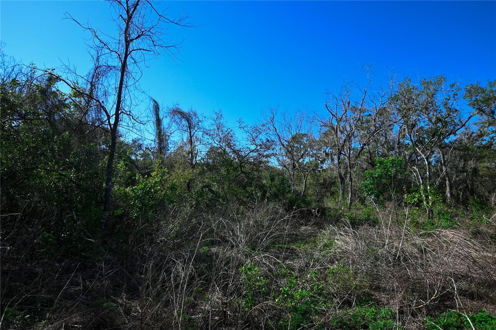 PABLO ISLAND ROAD, GROVELAND, FL, 34736