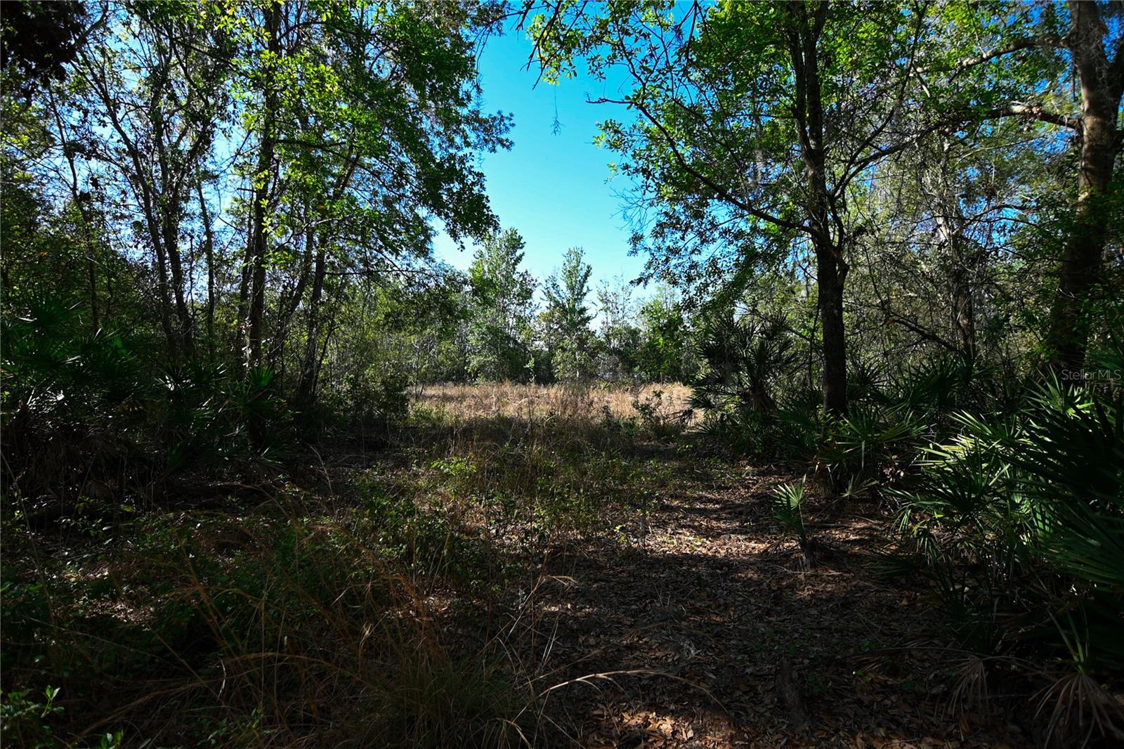 PABLO ISLAND ROAD, GROVELAND, FL, 34736