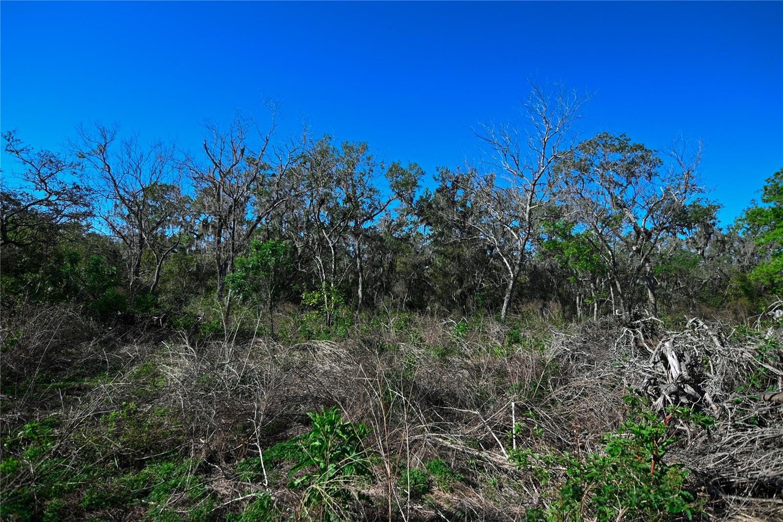 PABLO ISLAND ROAD, GROVELAND, FL, 34736