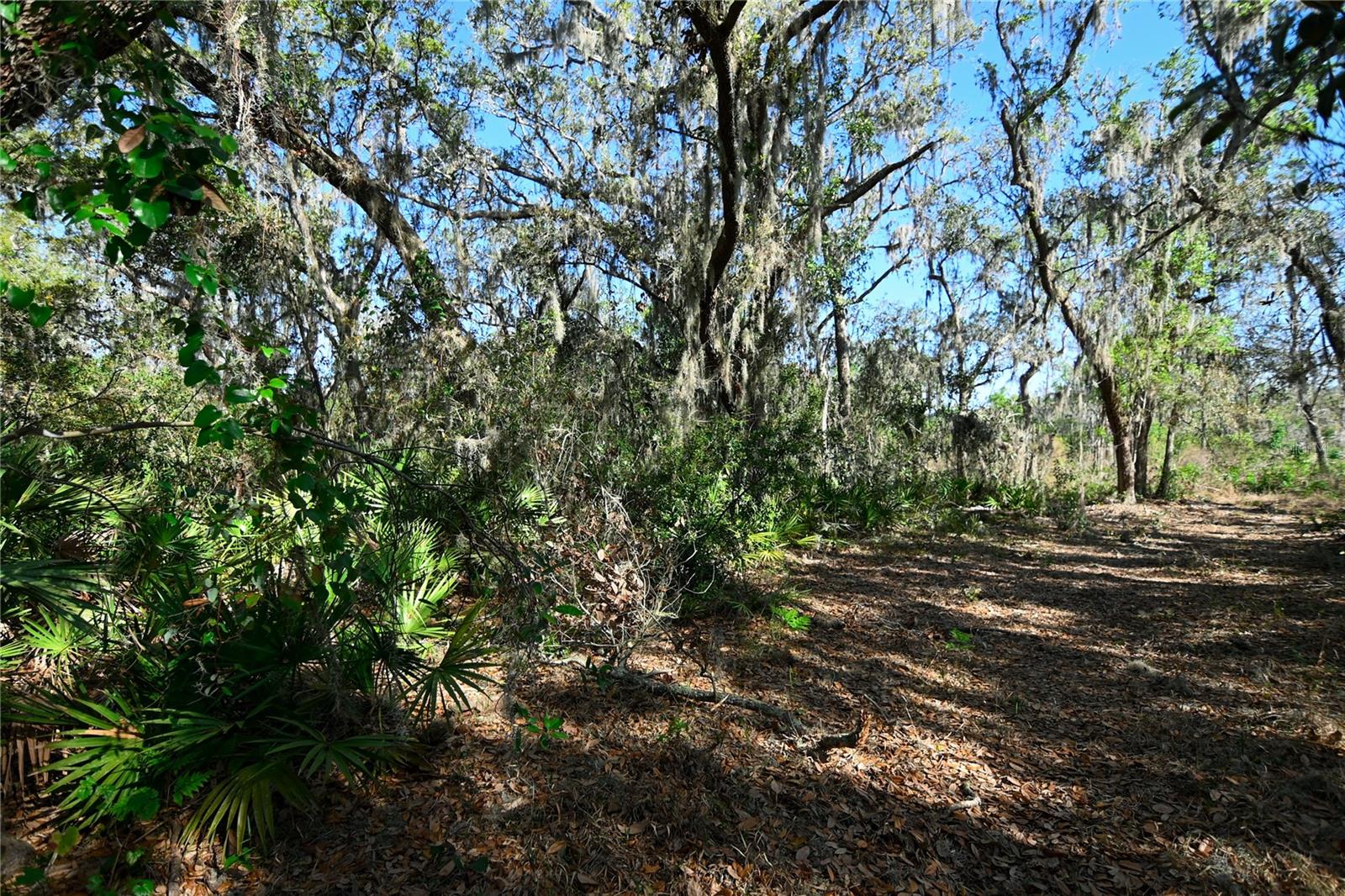 PABLO ISLAND ROAD, GROVELAND, FL, 34736