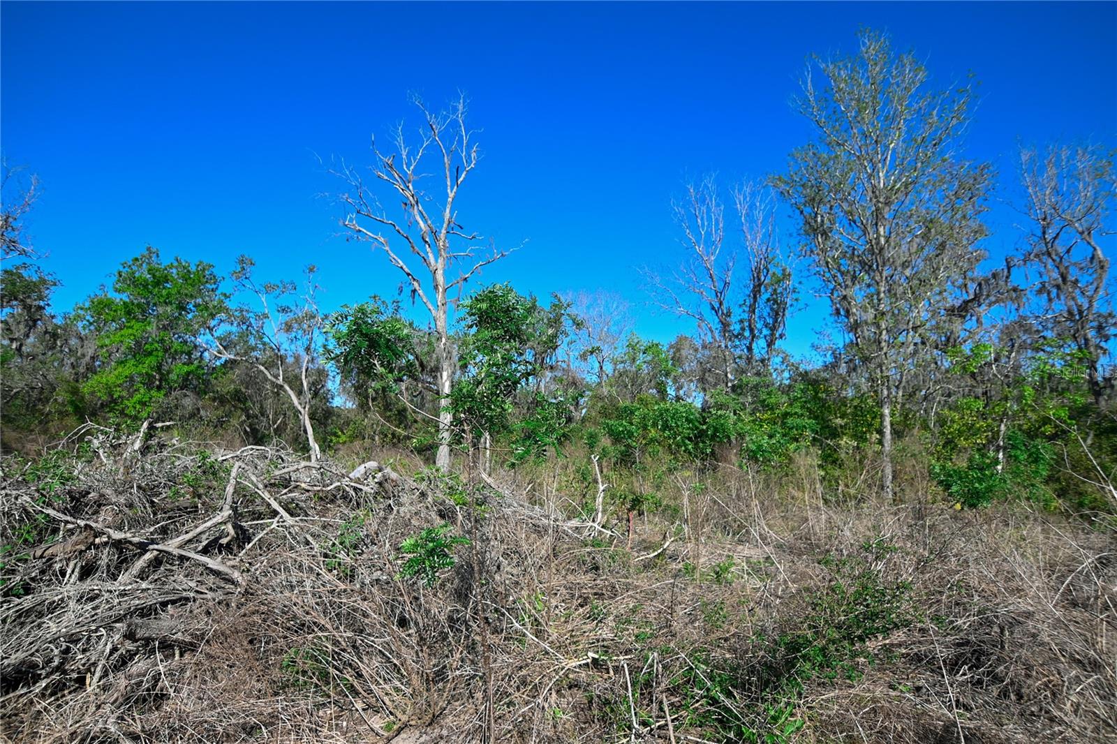 PABLO ISLAND ROAD, GROVELAND, FL, 34736