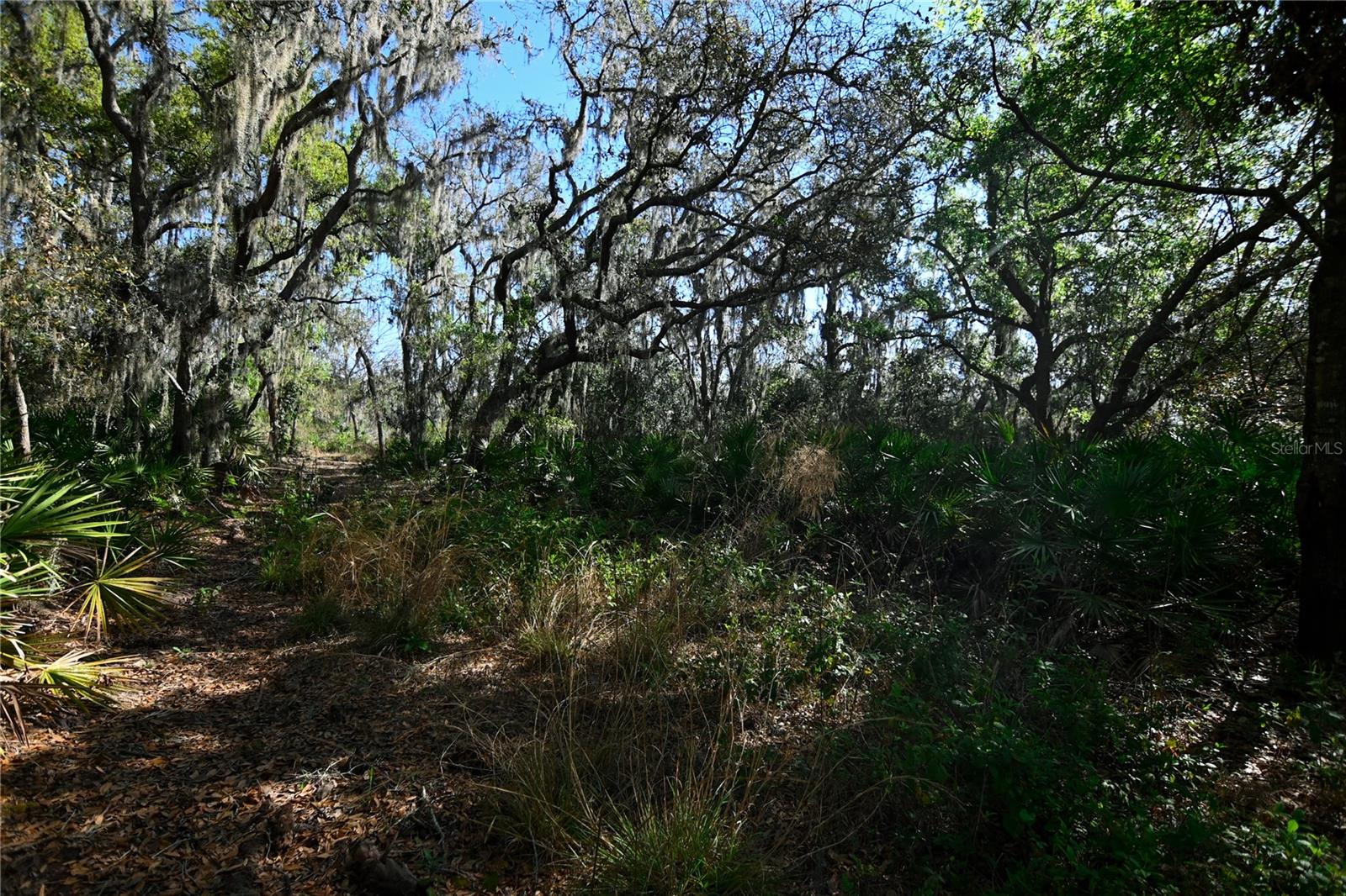 PABLO ISLAND ROAD, GROVELAND, FL, 34736