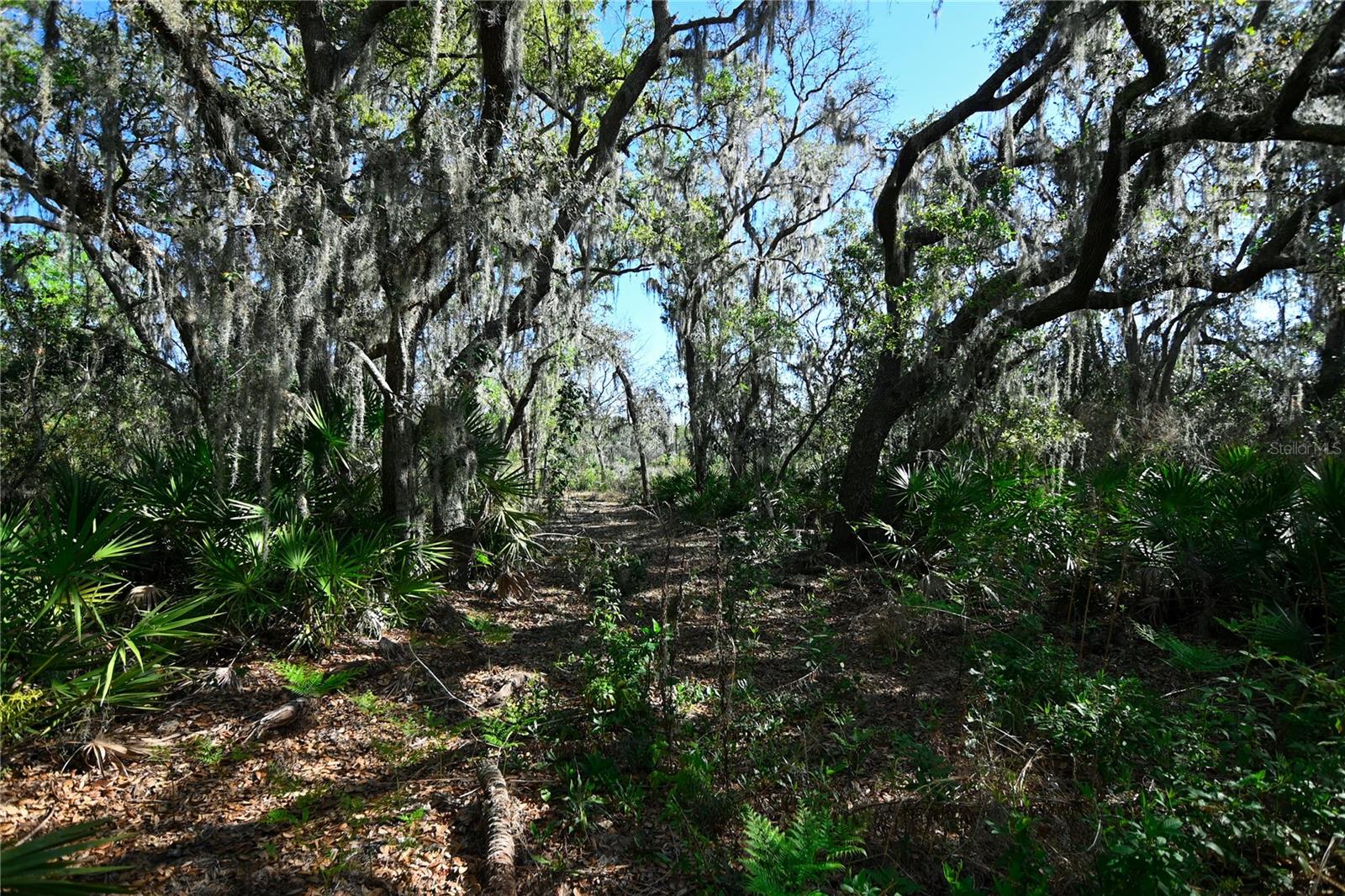 PABLO ISLAND ROAD, GROVELAND, FL, 34736