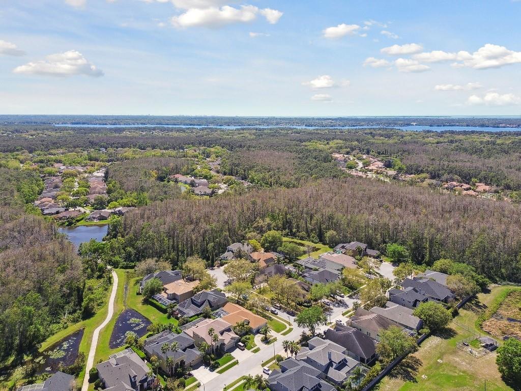 2927 NORTHFIELD DR, TARPON SPRINGS, FL, 34688