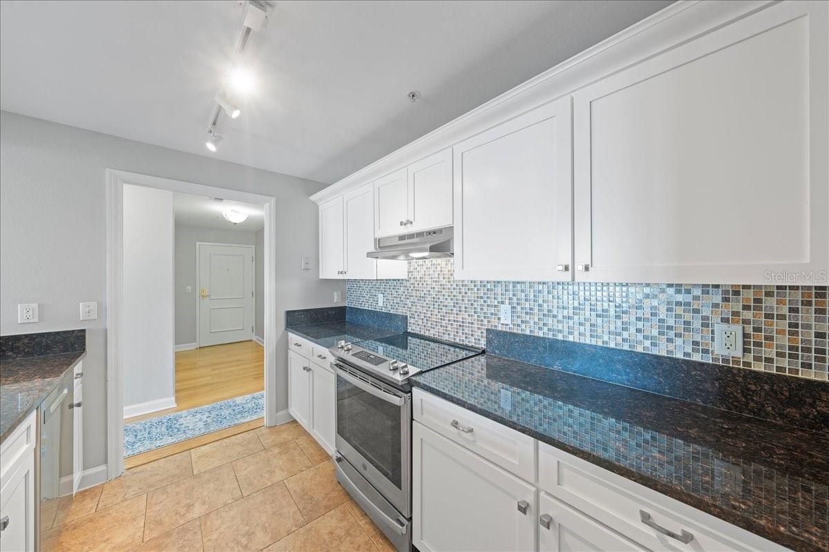 345 BAYSHORE BLVD #1502, TAMPA, FL, 33606
