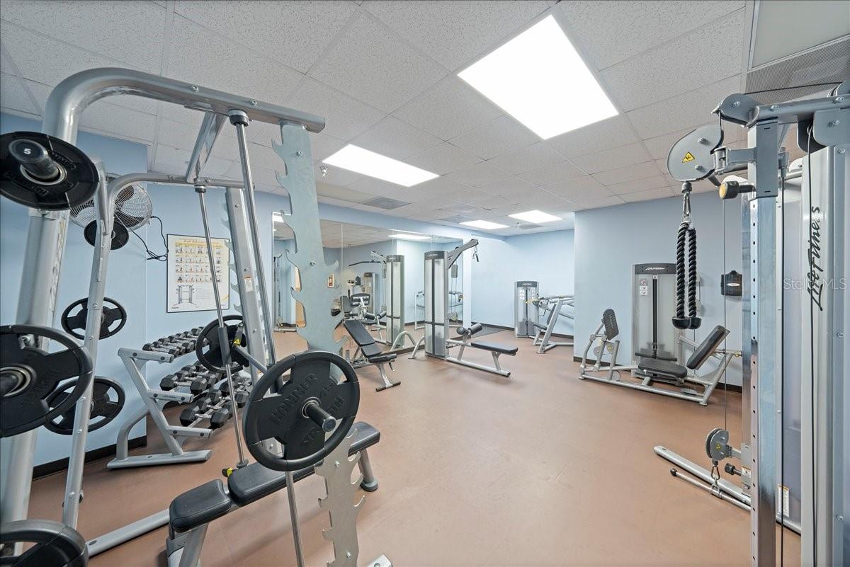 345 BAYSHORE BLVD #1502, TAMPA, FL, 33606