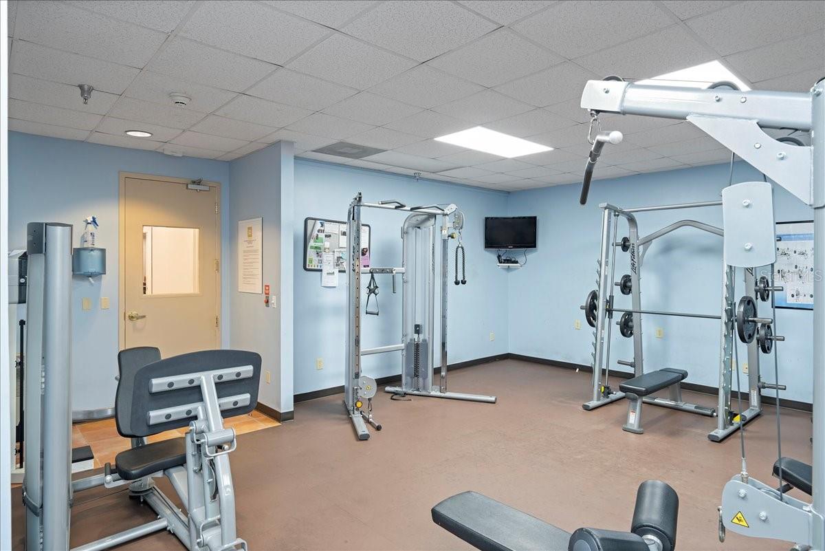 345 BAYSHORE BLVD #1502, TAMPA, FL, 33606