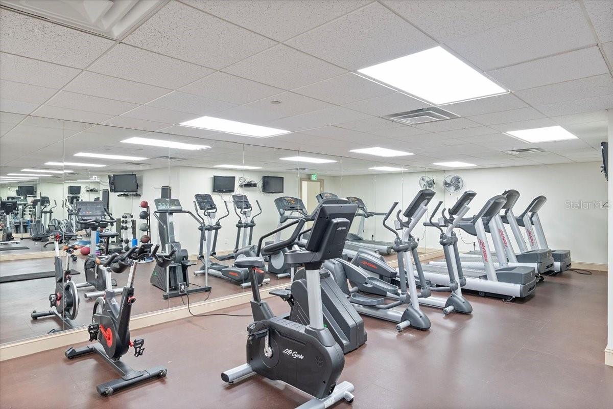 345 BAYSHORE BLVD #1502, TAMPA, FL, 33606