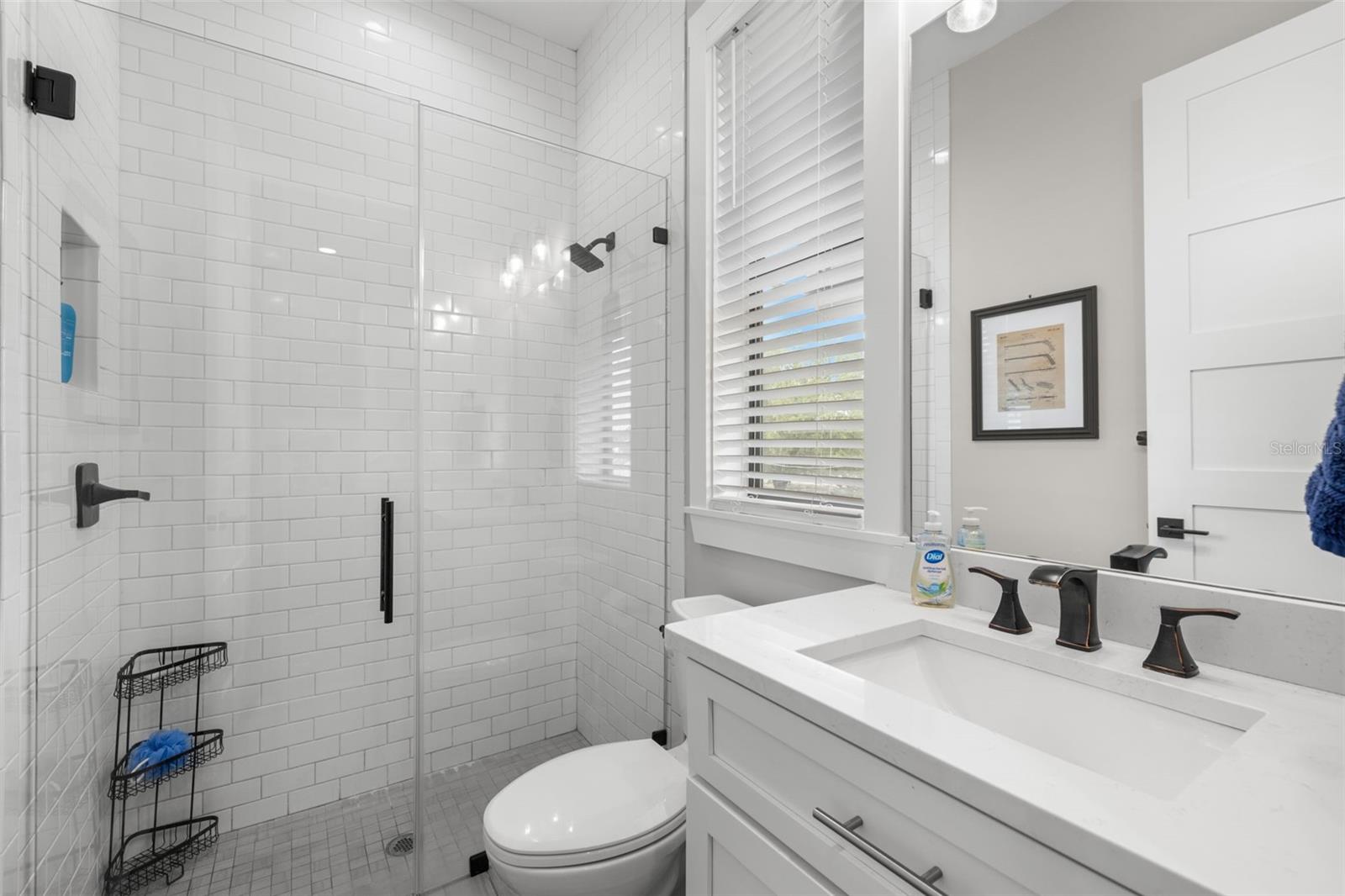 4806 W SAN RAFAEL ST, TAMPA, FL, 33629
