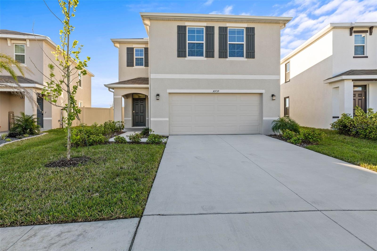 30739 PENNY SURF LOOP, WESLEY CHAPEL, FL, 33545