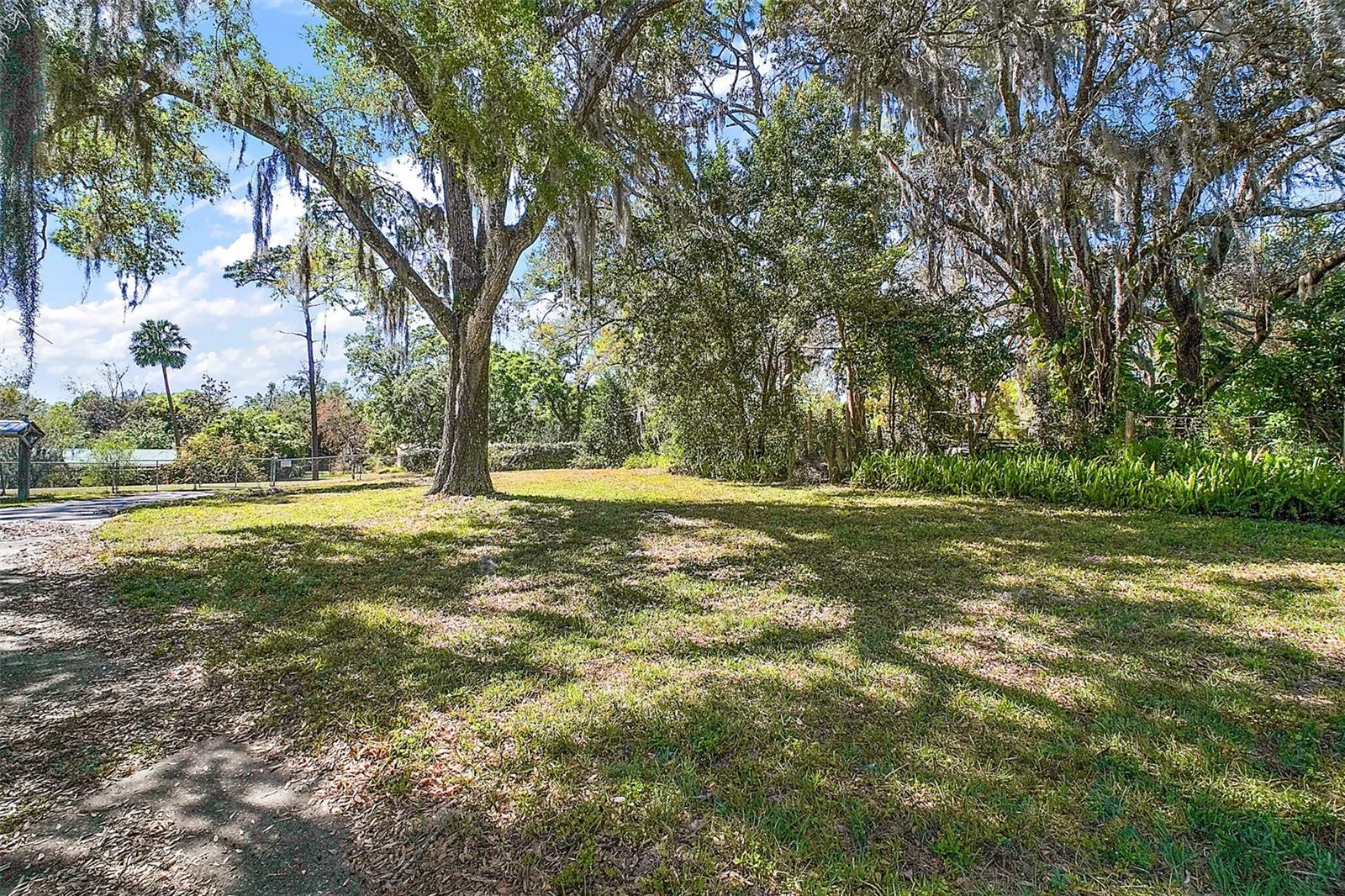 331 W LEWIS AVE, APOPKA, FL, 32712
