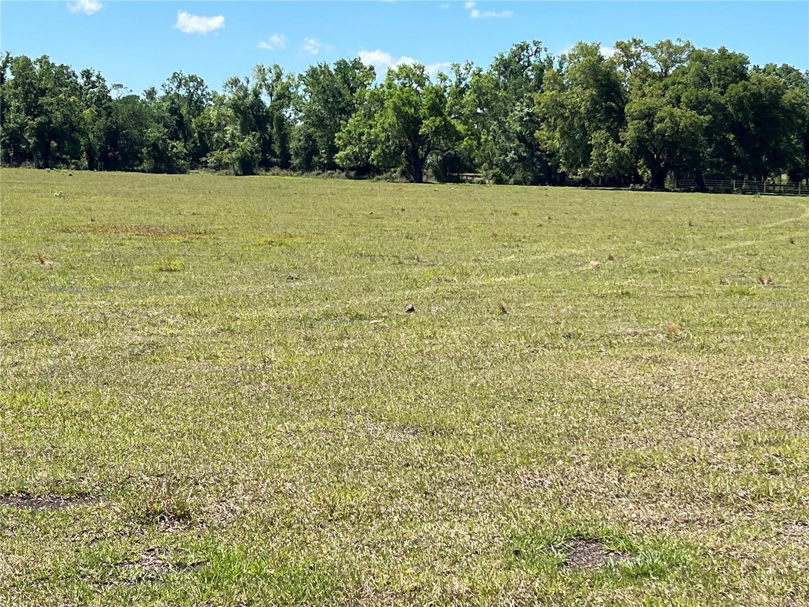 4685 NW COKER ST, ARCADIA, FL, 34266
