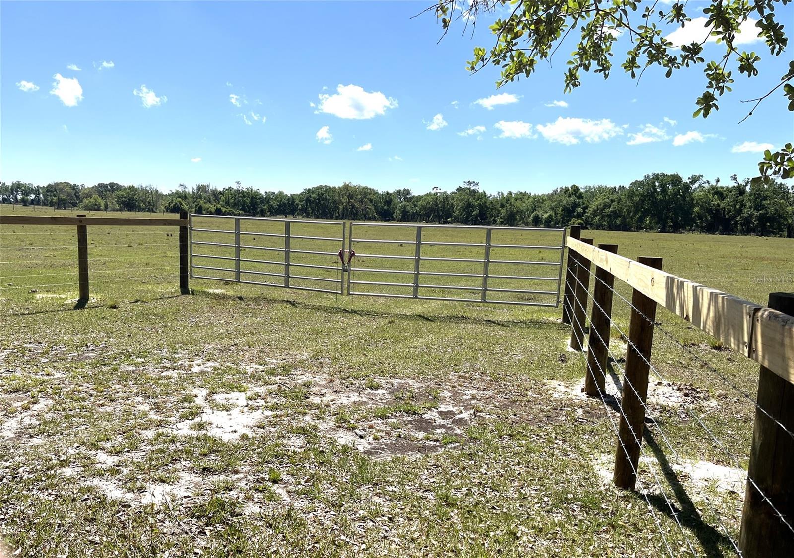 4685 NW COKER ST, ARCADIA, FL, 34266