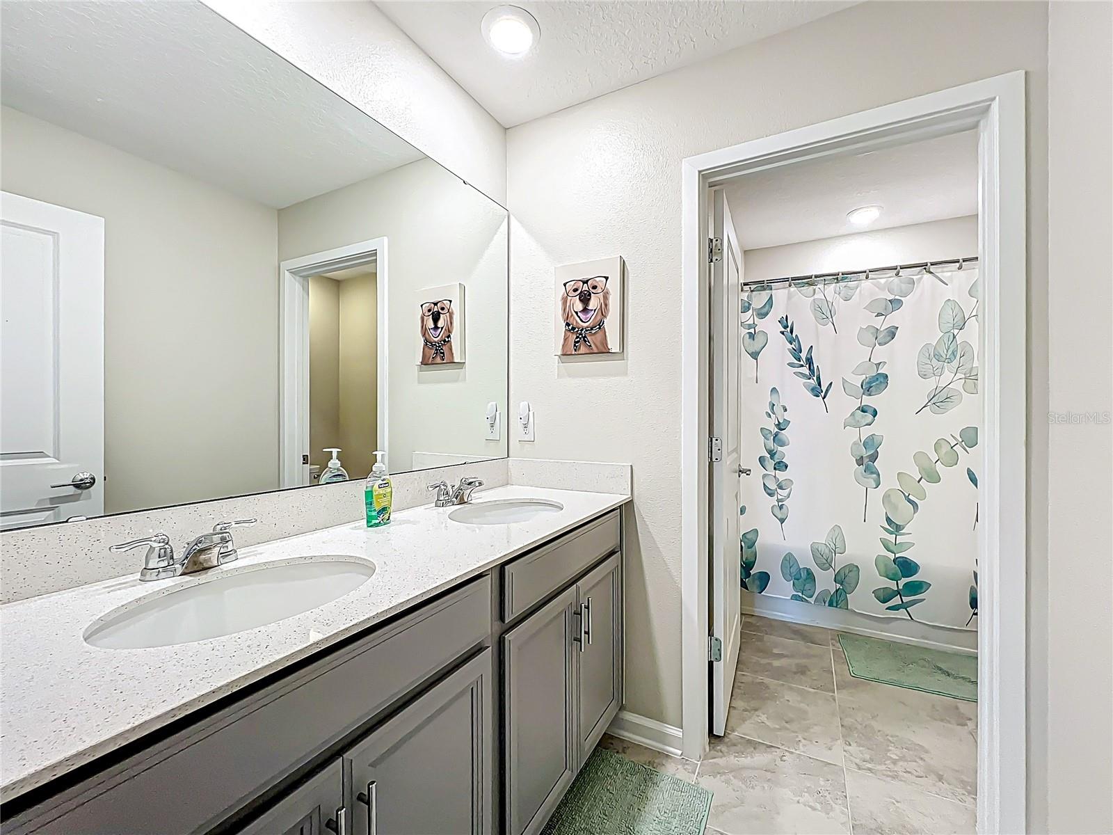 2861 BLACK BIRCH DR, OCOEE, FL, 34761