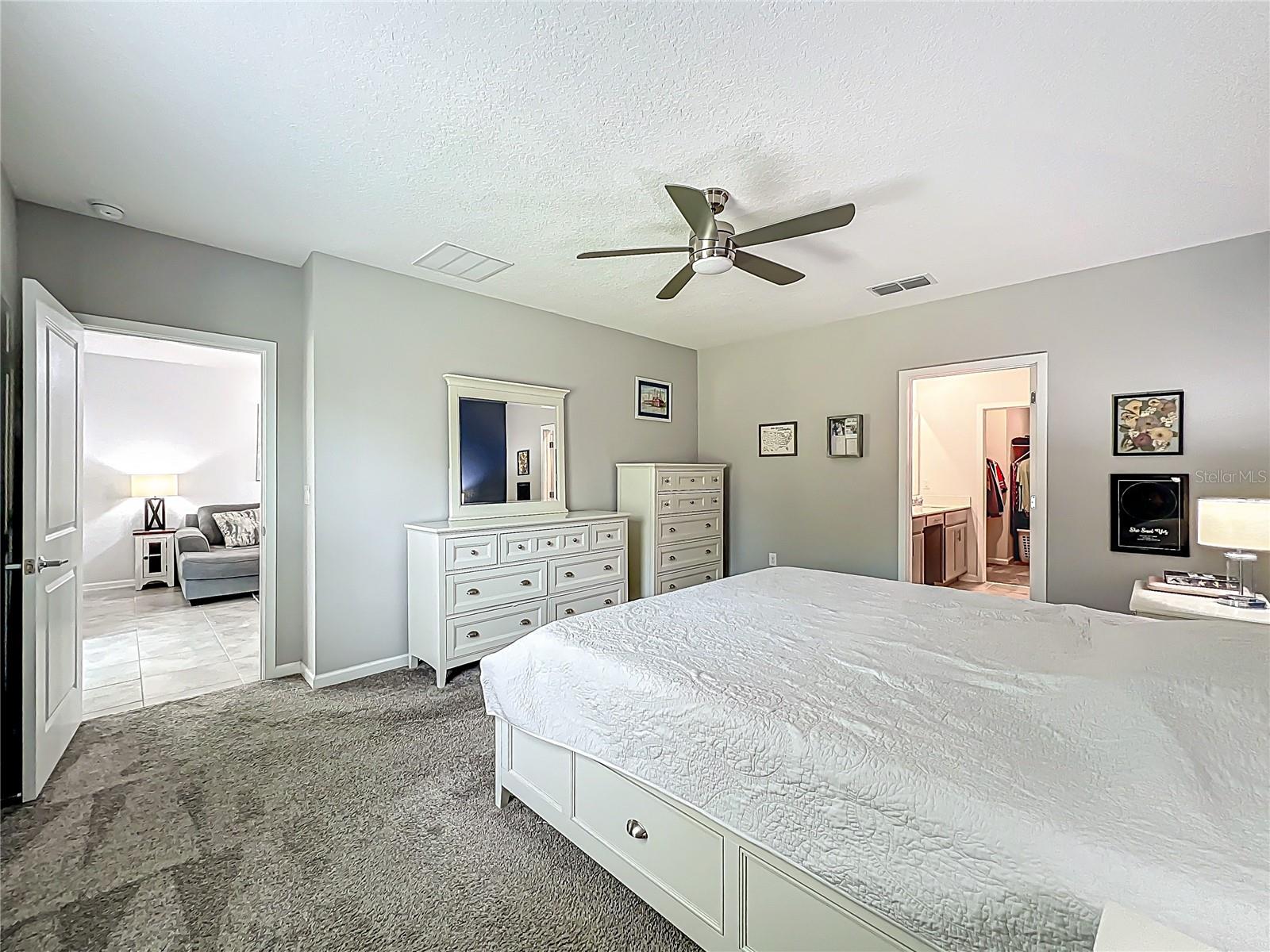 2861 BLACK BIRCH DR, OCOEE, FL, 34761