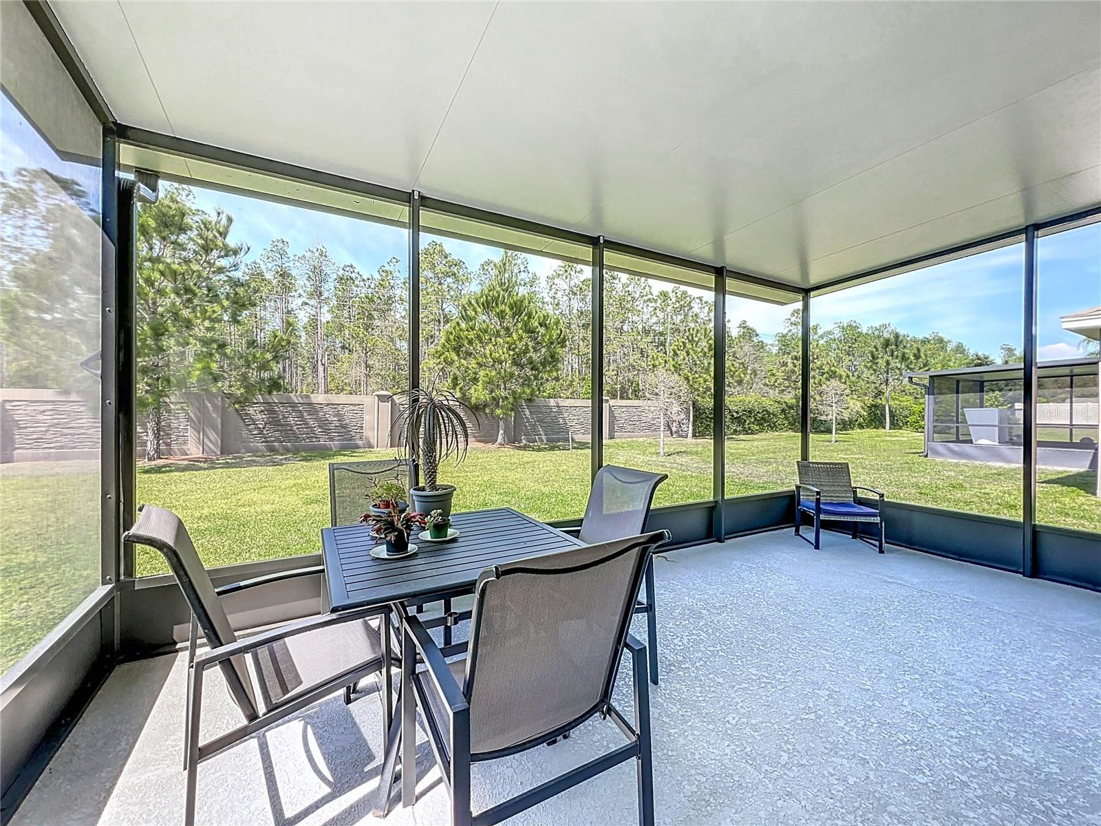 2861 BLACK BIRCH DR, OCOEE, FL, 34761