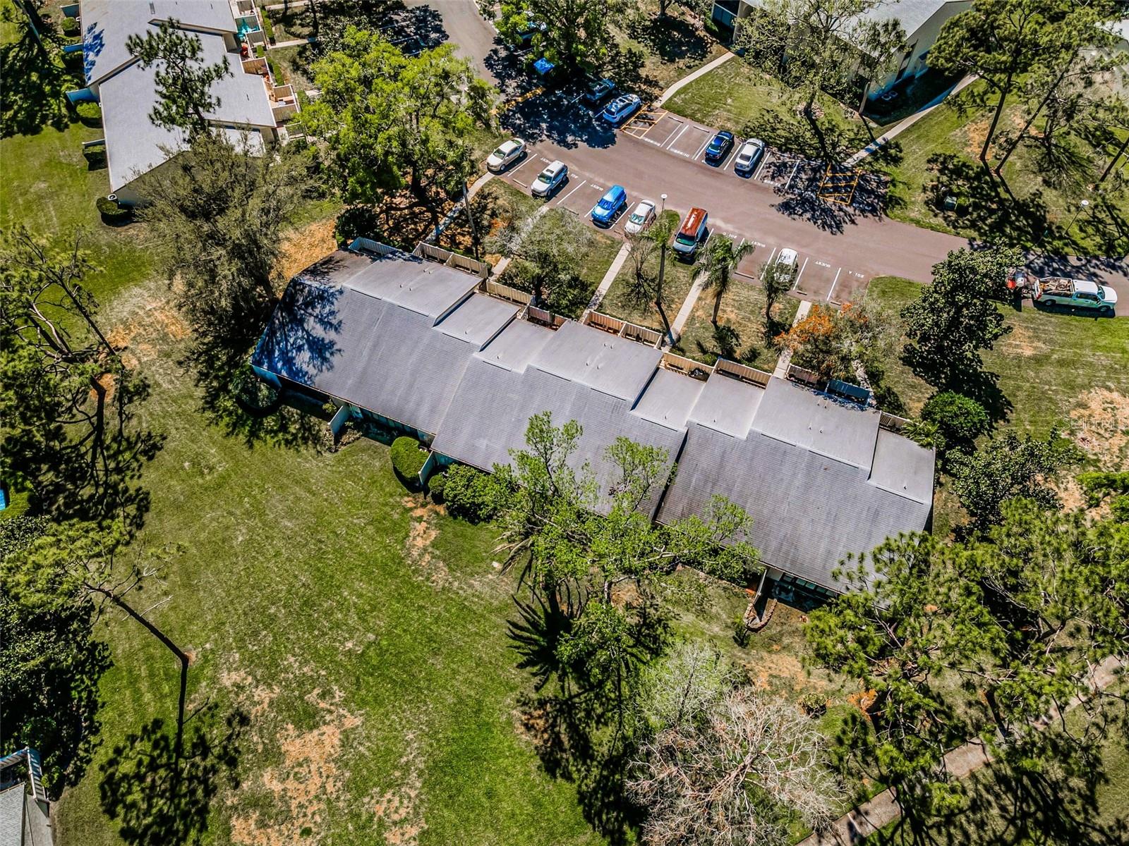1333 SHADY PINE WAY #F, TARPON SPRINGS, FL, 34688