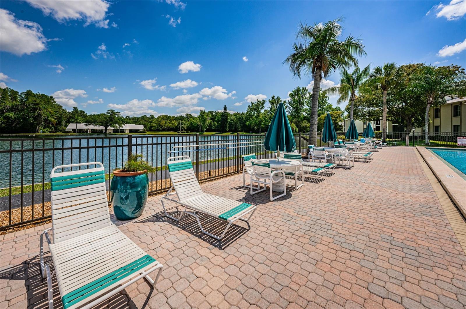 1333 SHADY PINE WAY #F, TARPON SPRINGS, FL, 34688