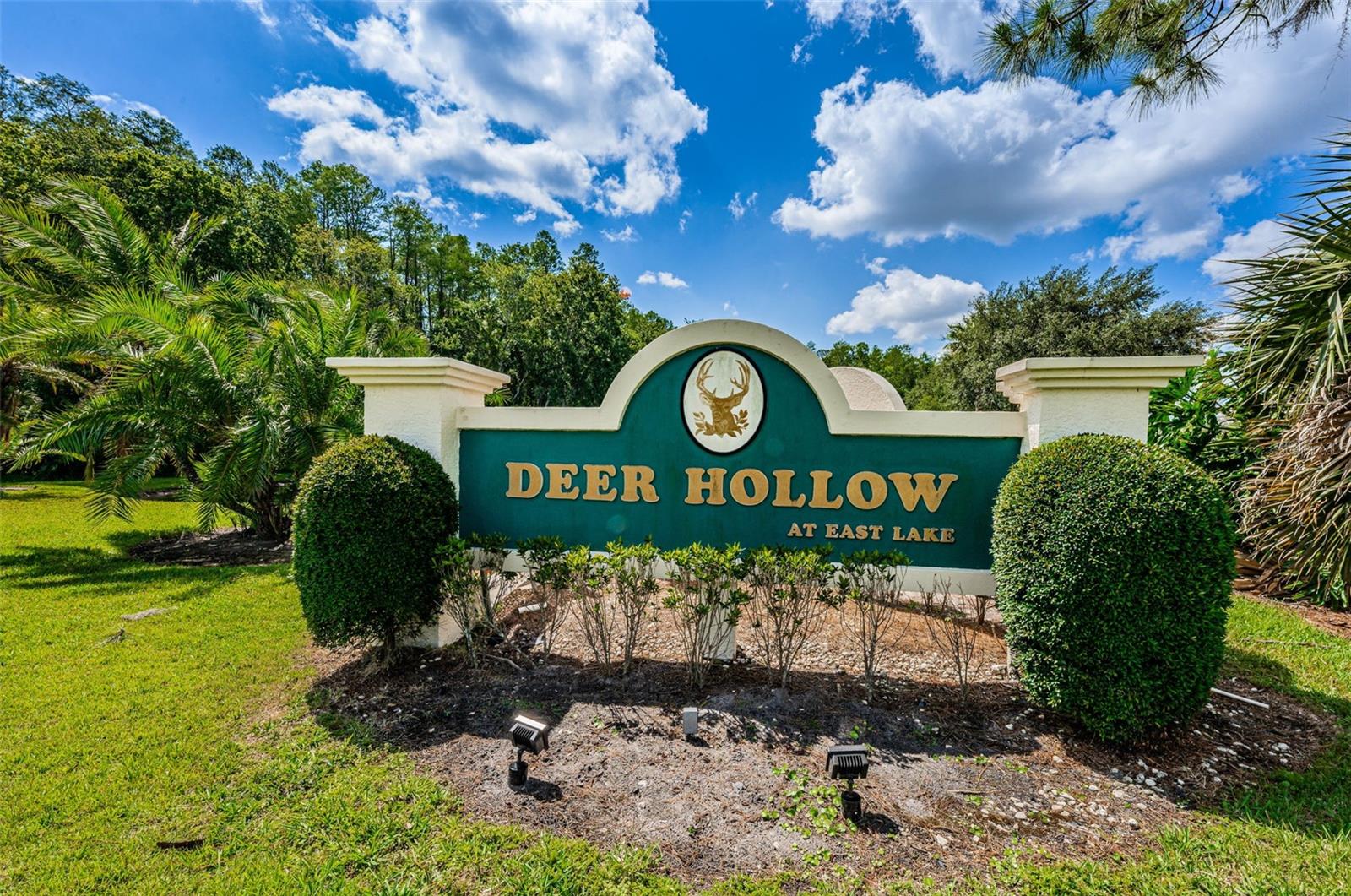 1333 SHADY PINE WAY #F, TARPON SPRINGS, FL, 34688