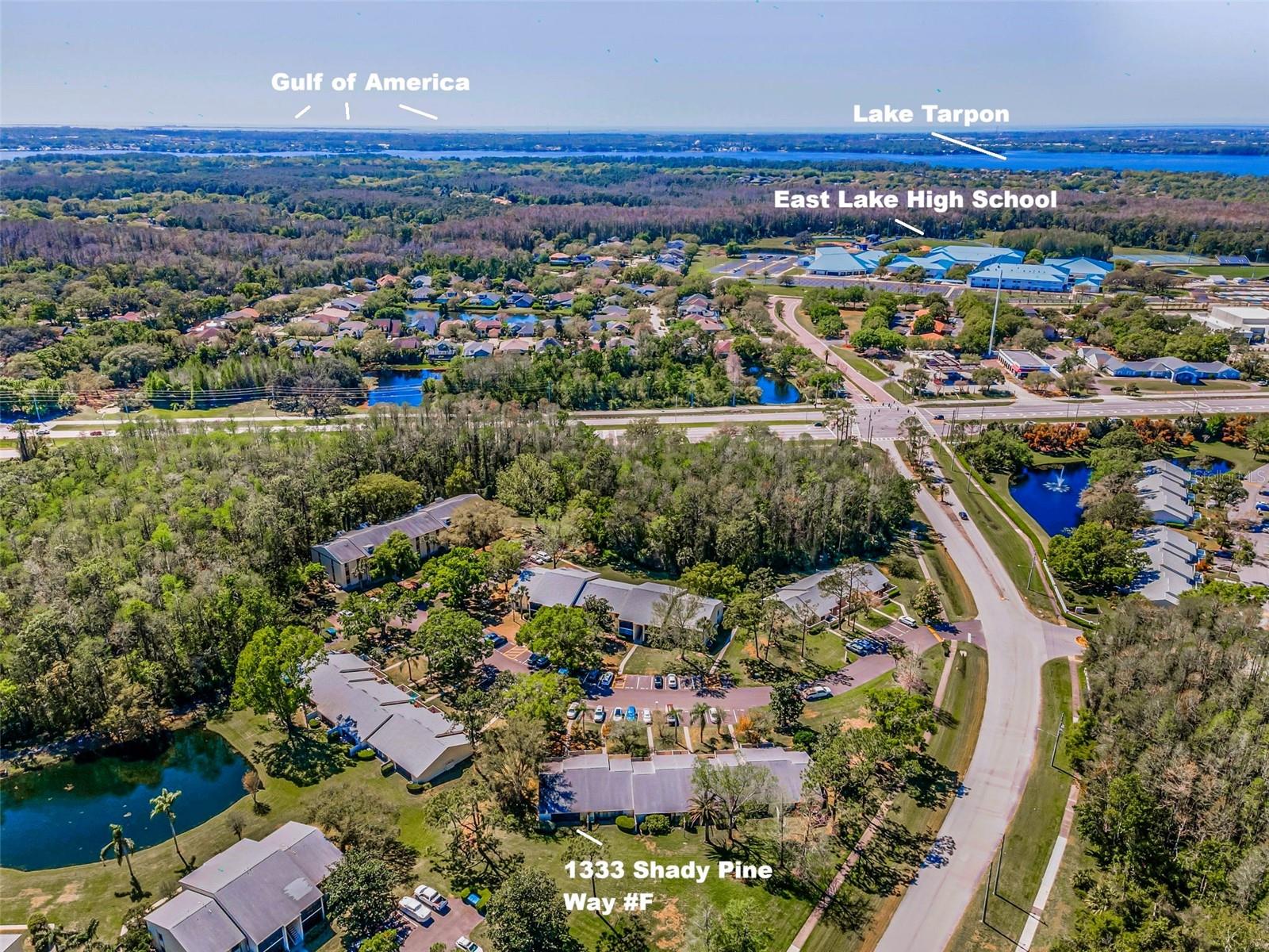 1333 SHADY PINE WAY #F, TARPON SPRINGS, FL, 34688