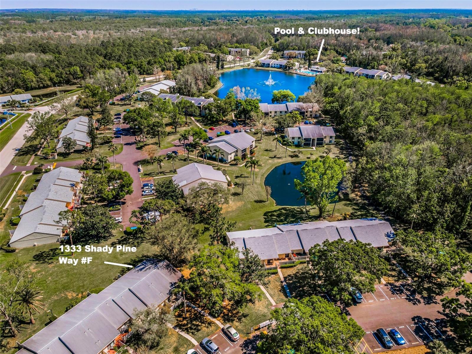1333 SHADY PINE WAY #F, TARPON SPRINGS, FL, 34688