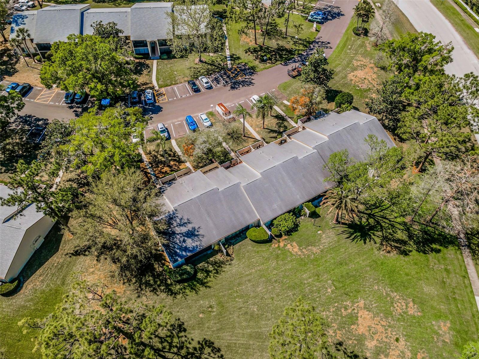 1333 SHADY PINE WAY #F, TARPON SPRINGS, FL, 34688