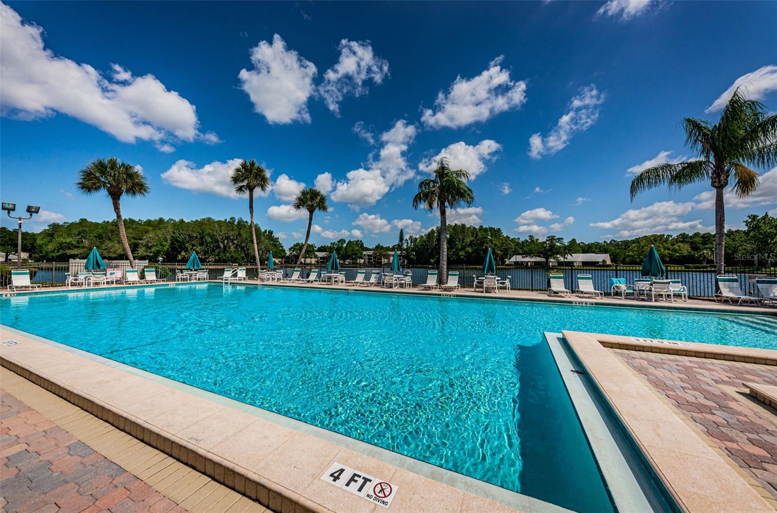 1333 SHADY PINE WAY #F, TARPON SPRINGS, FL, 34688