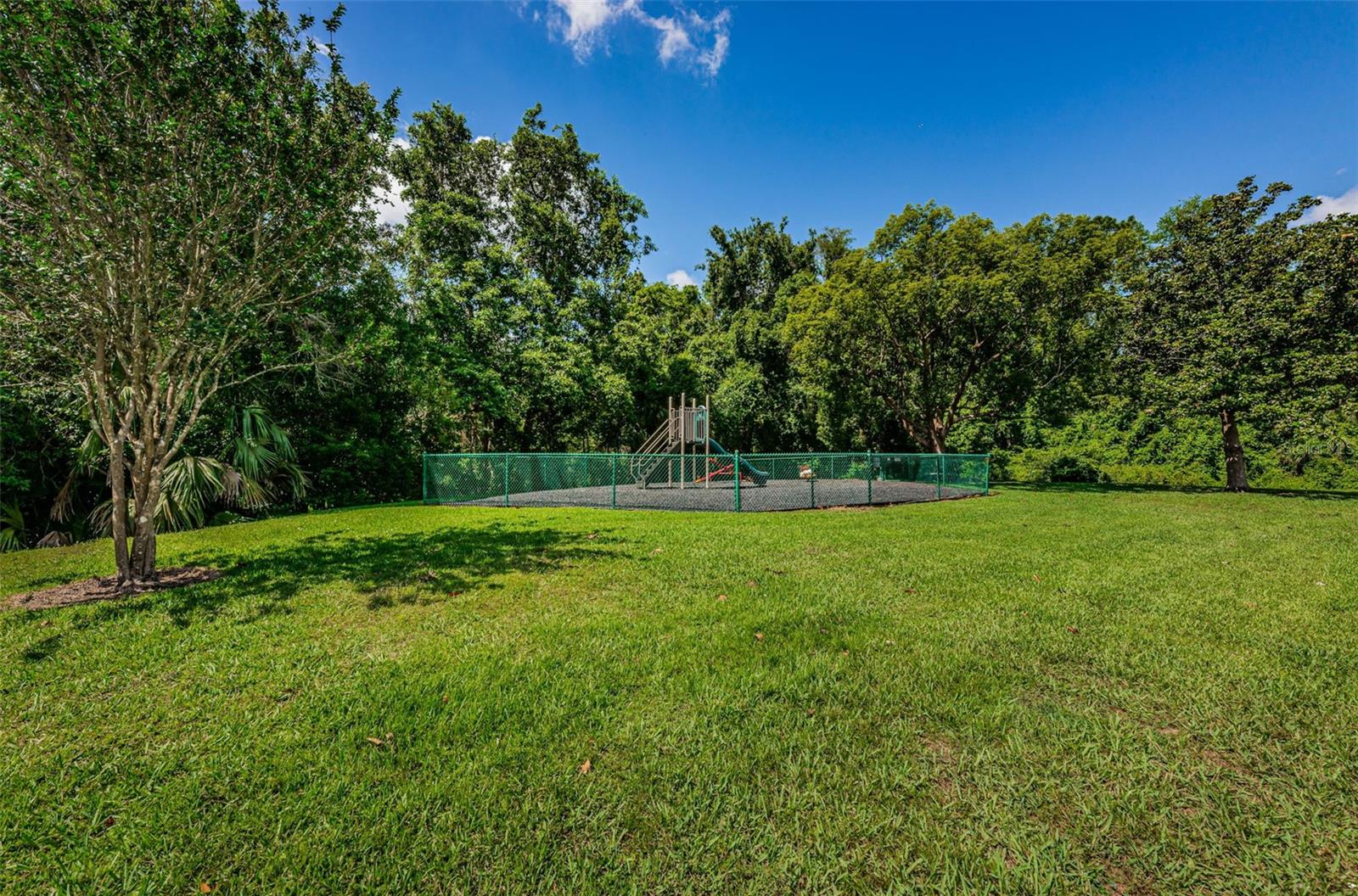1333 SHADY PINE WAY #F, TARPON SPRINGS, FL, 34688