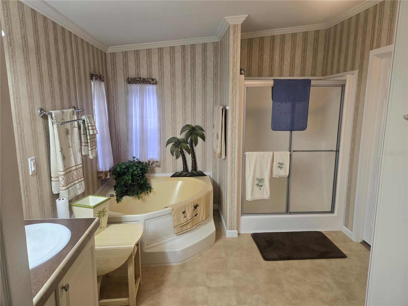 18600 SE 17TH ST, SILVER SPRINGS, FL, 34488