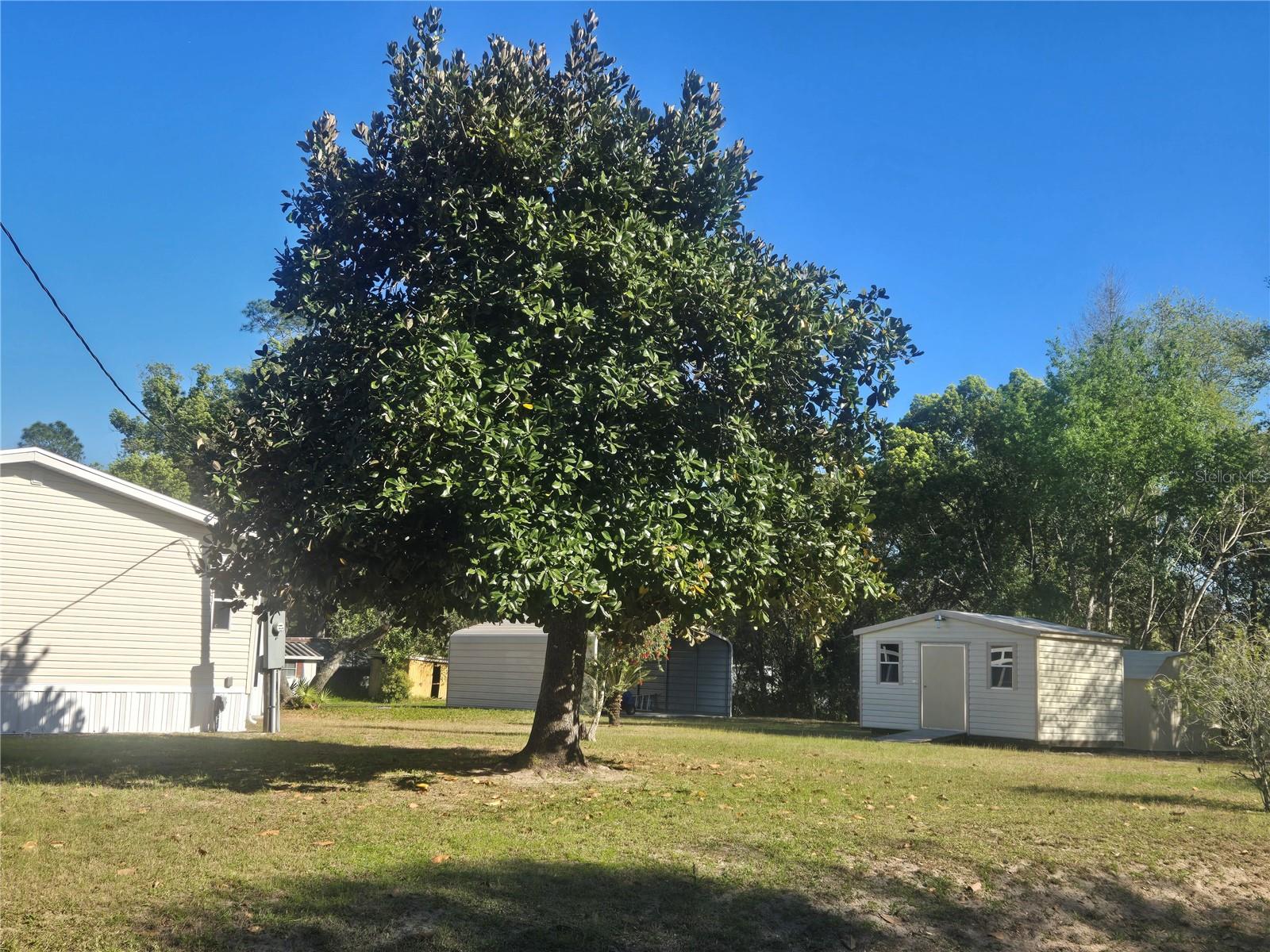 18600 SE 17TH ST, SILVER SPRINGS, FL, 34488