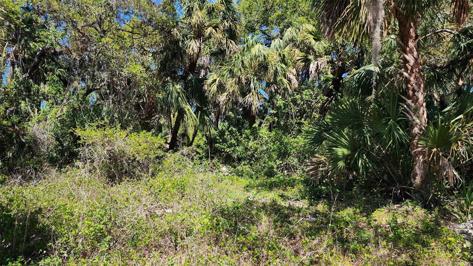 16280 ASHLAND AVE, PORT CHARLOTTE, FL, 33954