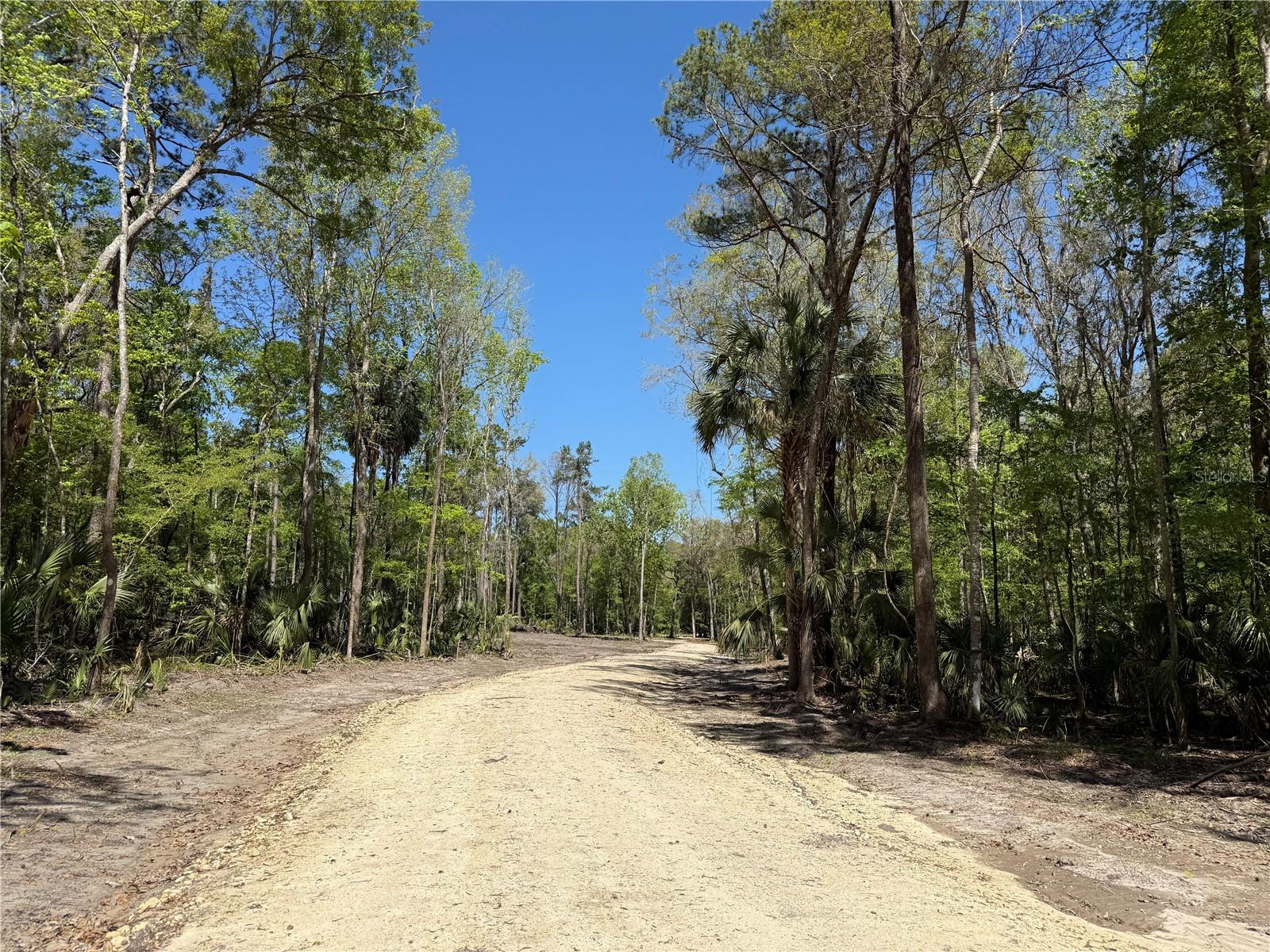 44 NW 193RD ST, REDDICK, FL, 32686