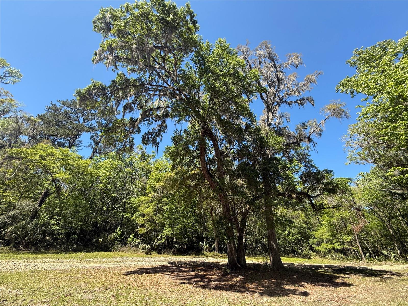 44 NW 193RD ST, REDDICK, FL, 32686