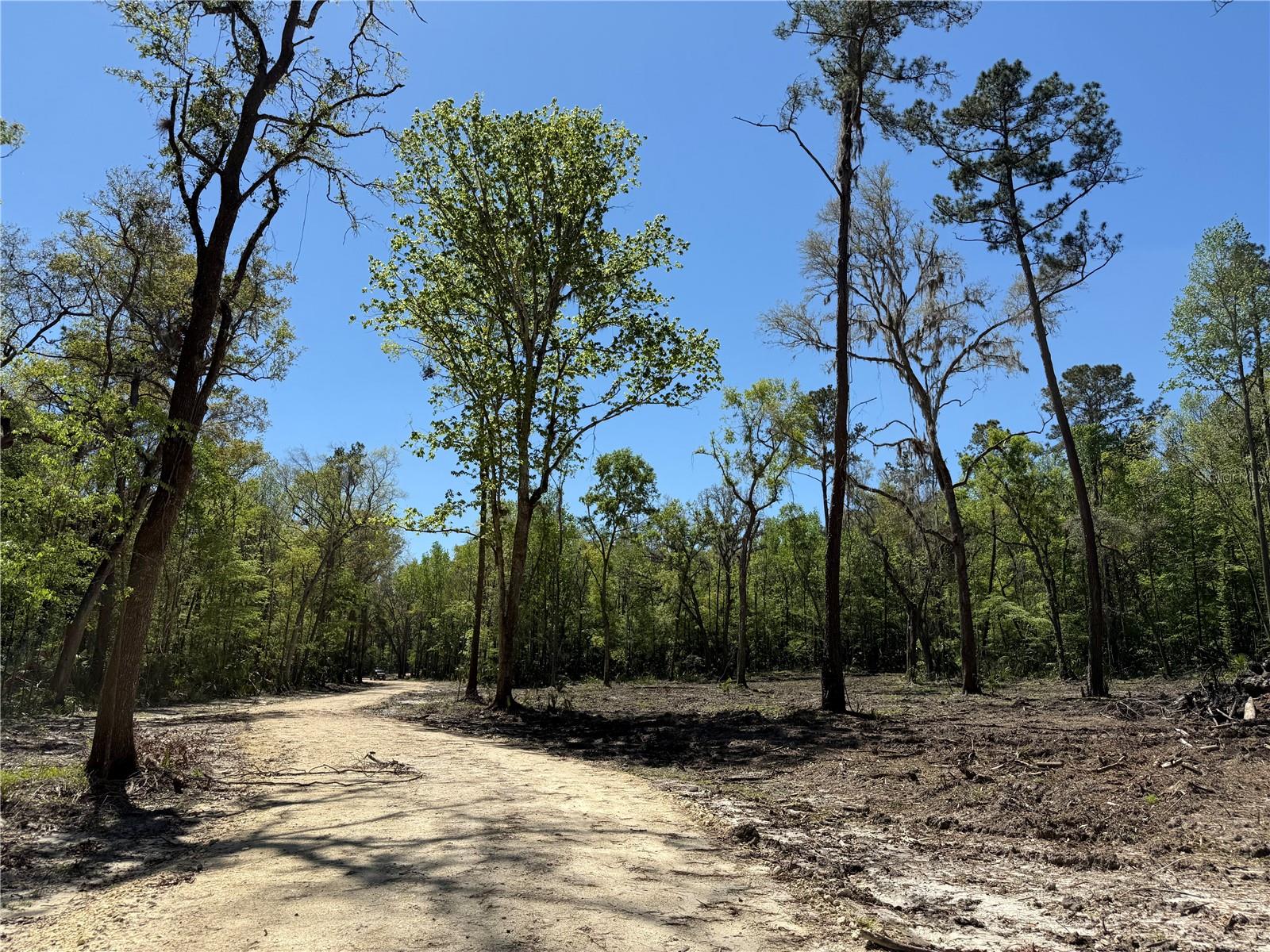 44 NW 193RD ST, REDDICK, FL, 32686