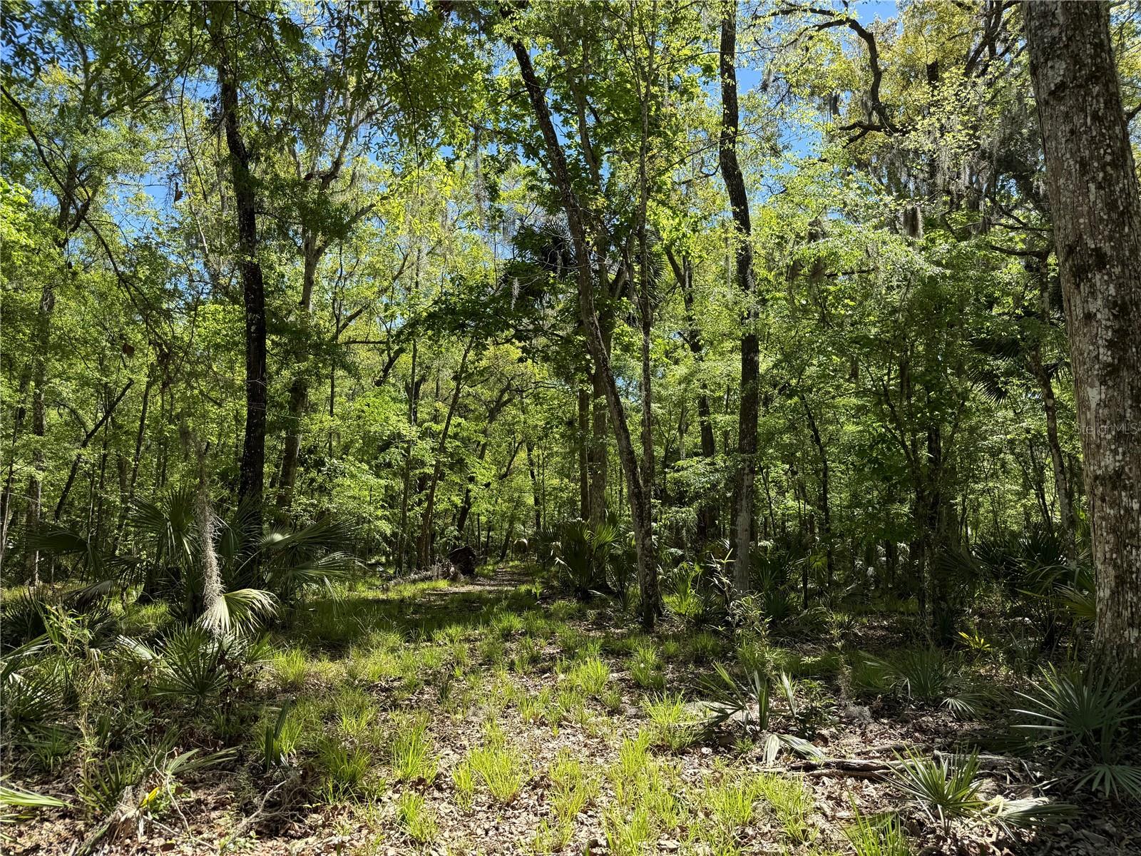 44 NW 193RD ST, REDDICK, FL, 32686