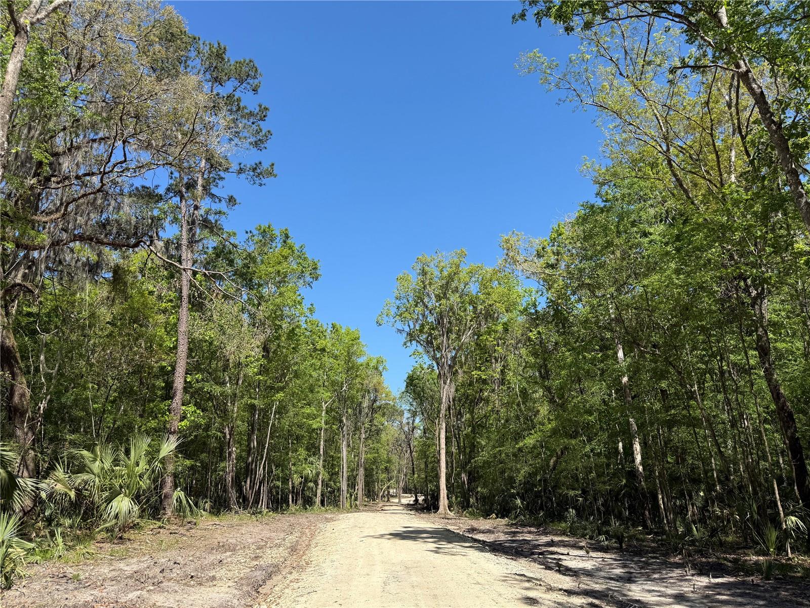 44 NW 193RD ST, REDDICK, FL, 32686