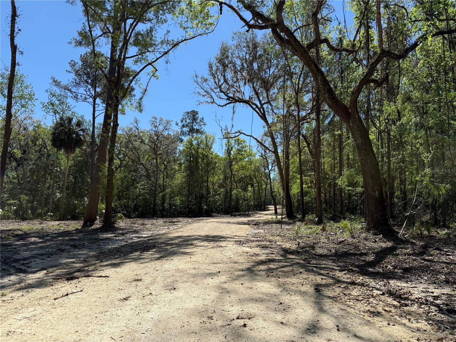 44 NW 193RD ST, REDDICK, FL, 32686