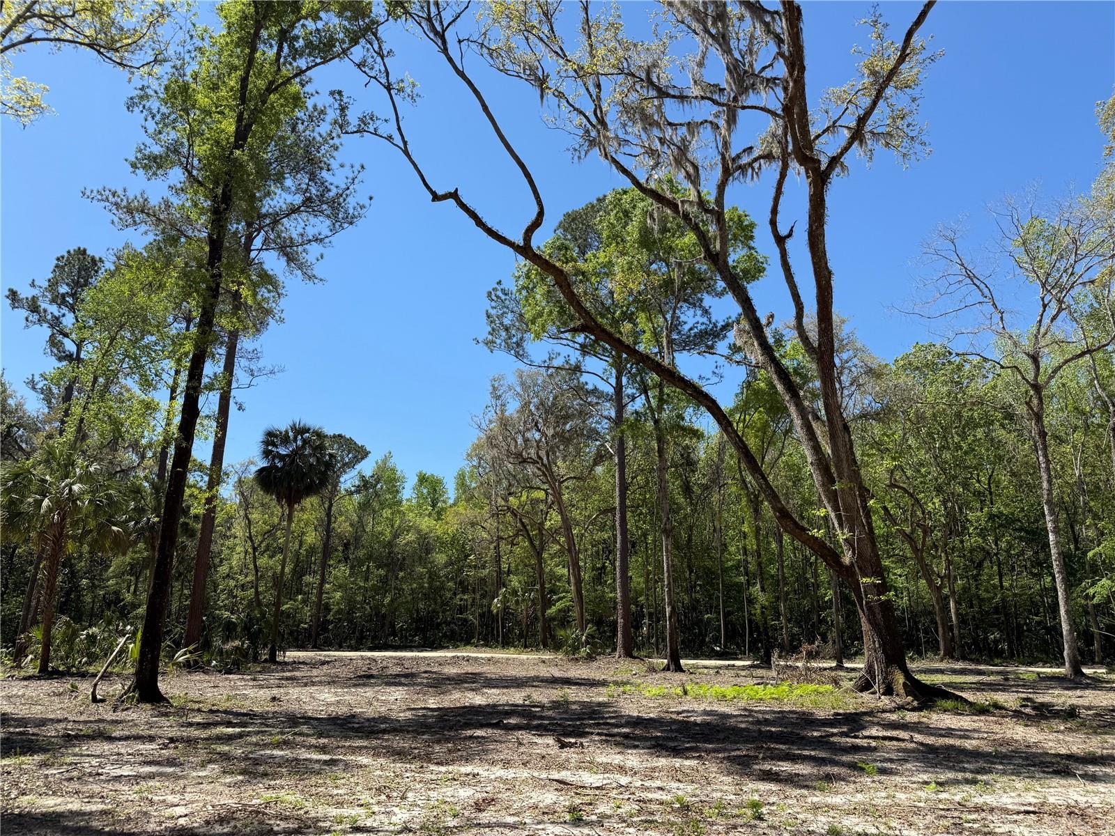 44 NW 193RD ST, REDDICK, FL, 32686