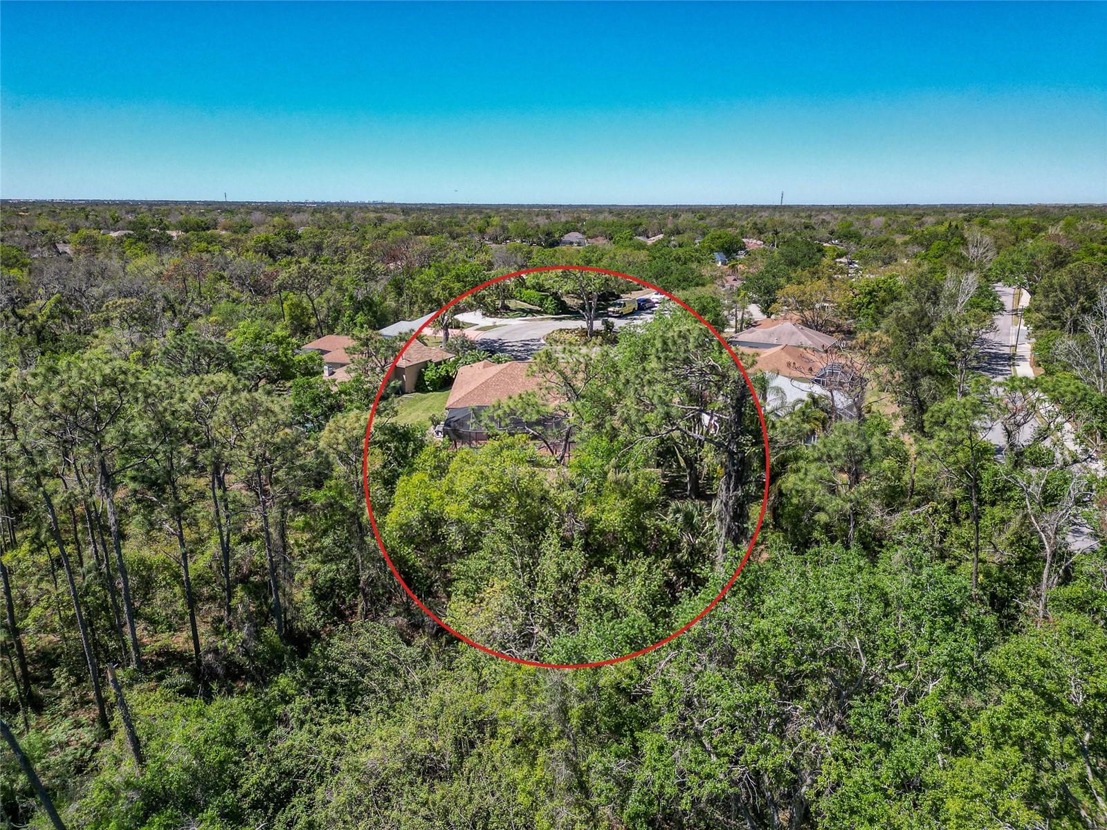 11419 PINE LILLY PL, LAKEWOOD RANCH, FL, 34202