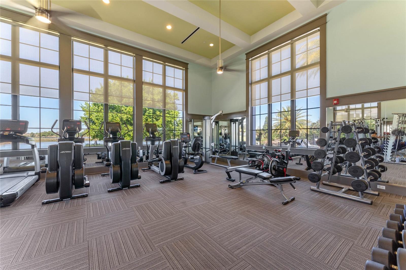 15681 PANTHER LAKE DR, WINTER GARDEN, FL, 34787