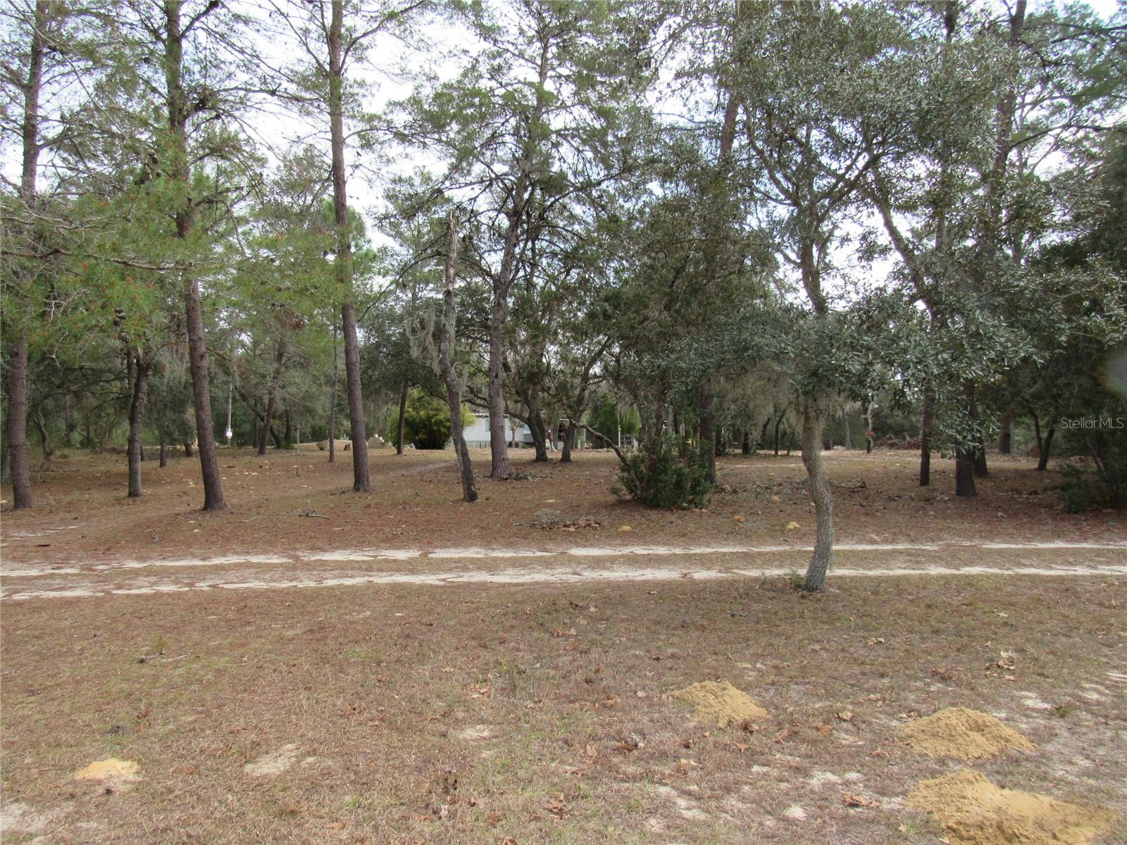 3209 N BONNIE PT, HERNANDO, FL, 34442