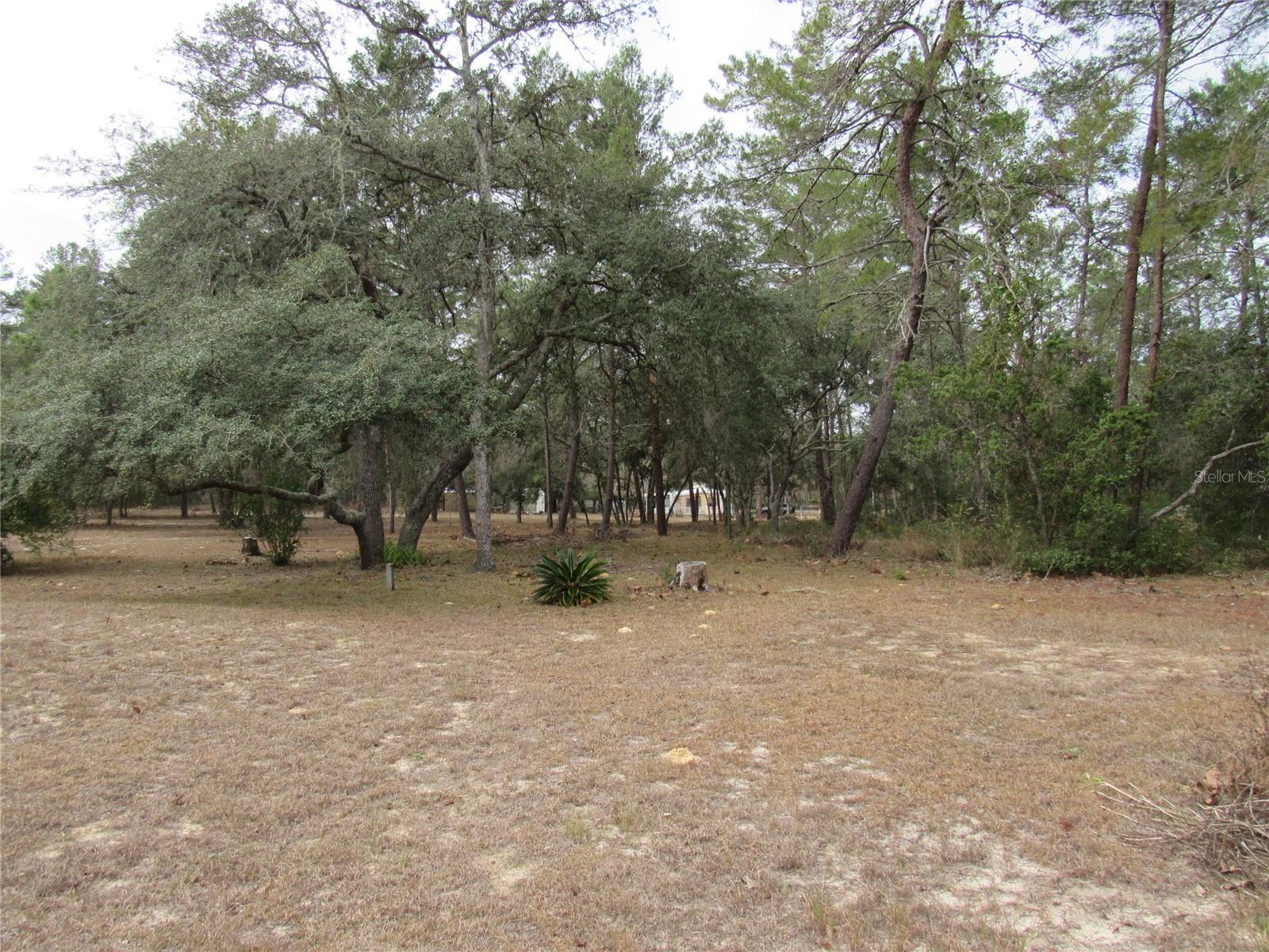 3209 N BONNIE PT, HERNANDO, FL, 34442