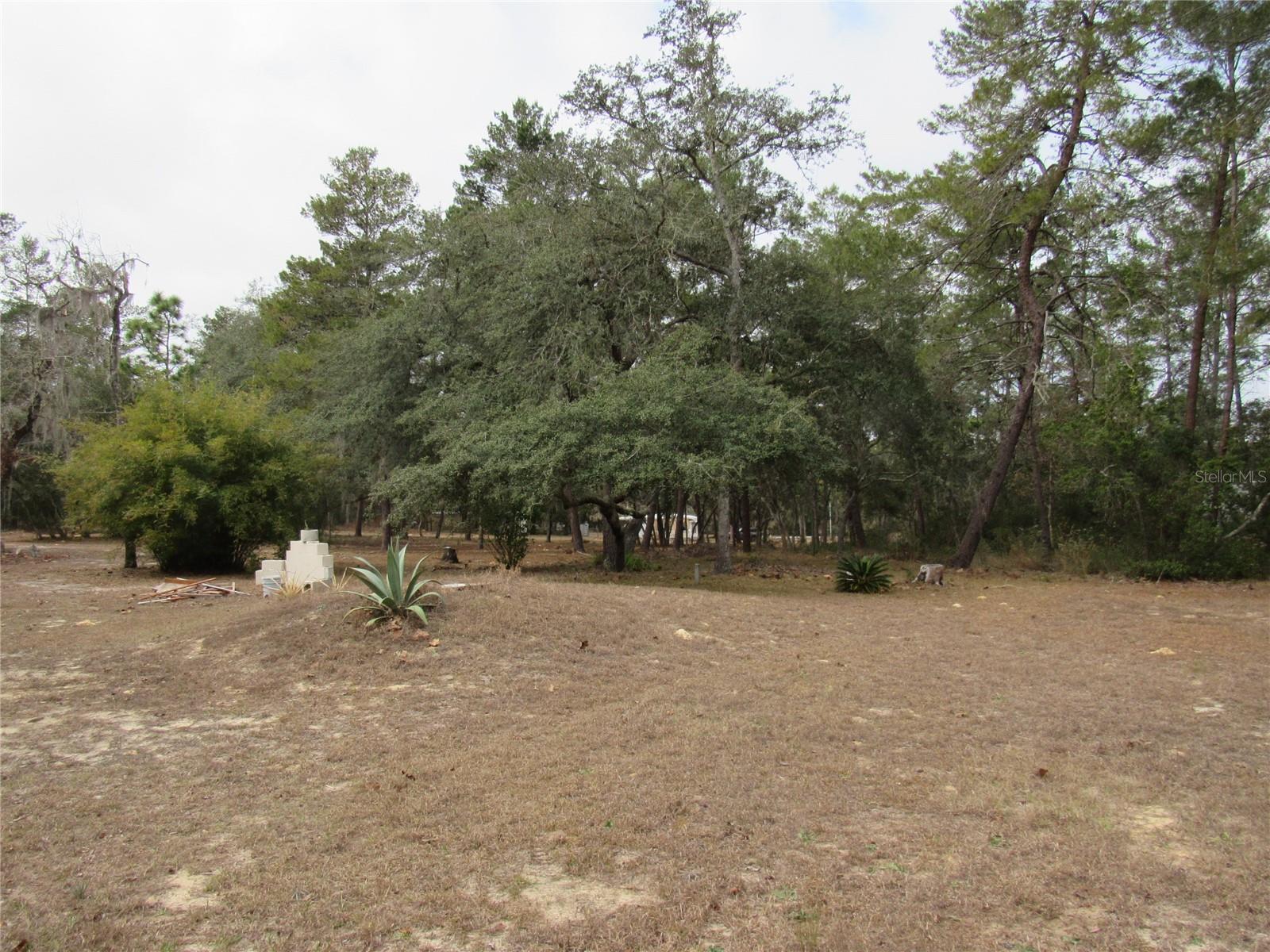 3209 N BONNIE PT, HERNANDO, FL, 34442