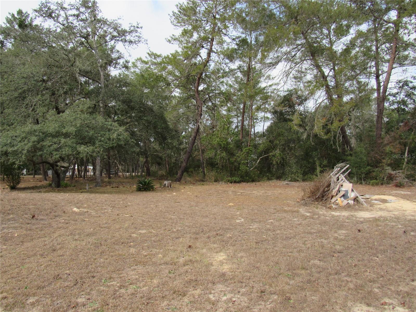 3209 N BONNIE PT, HERNANDO, FL, 34442