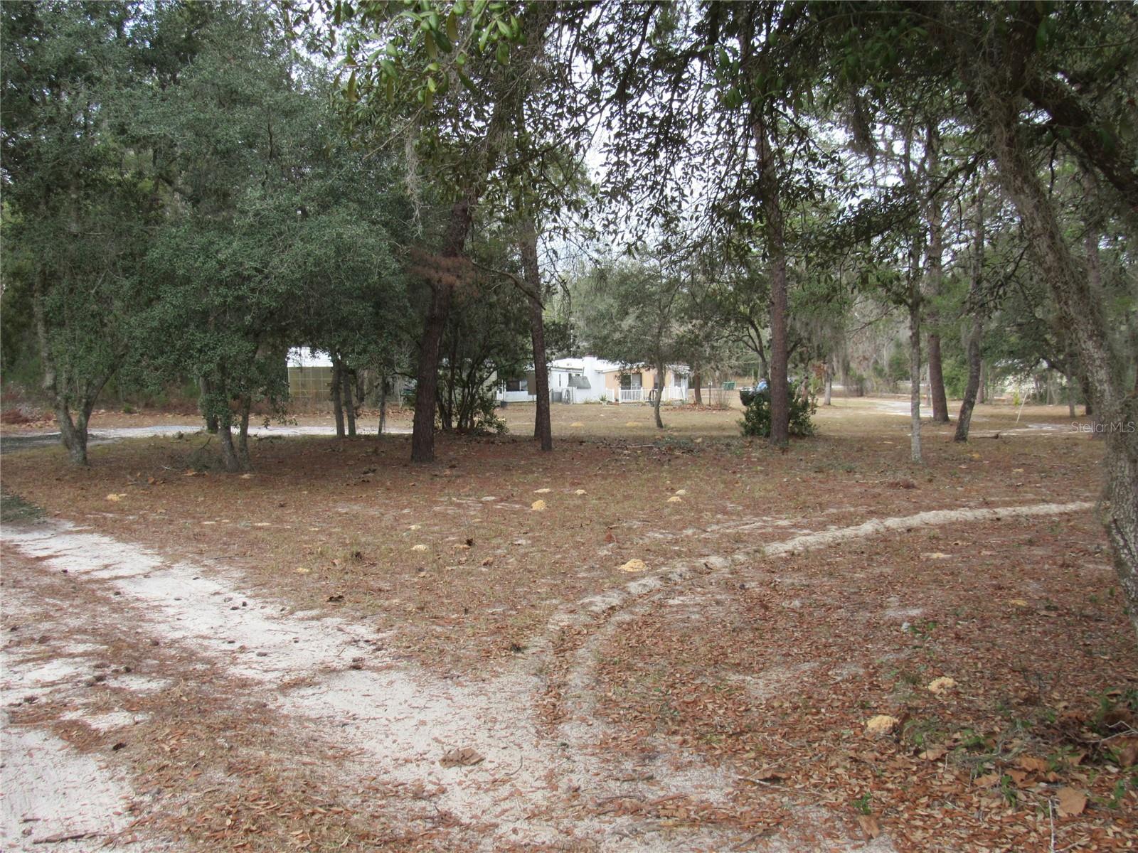 3209 N BONNIE PT, HERNANDO, FL, 34442