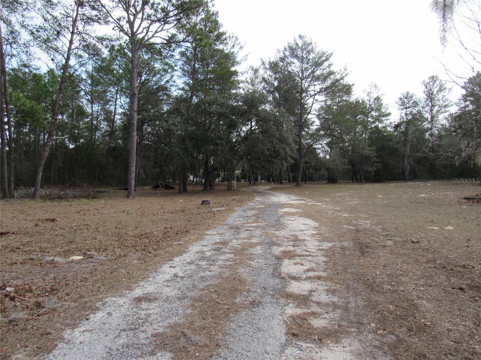 3209 N BONNIE PT, HERNANDO, FL, 34442