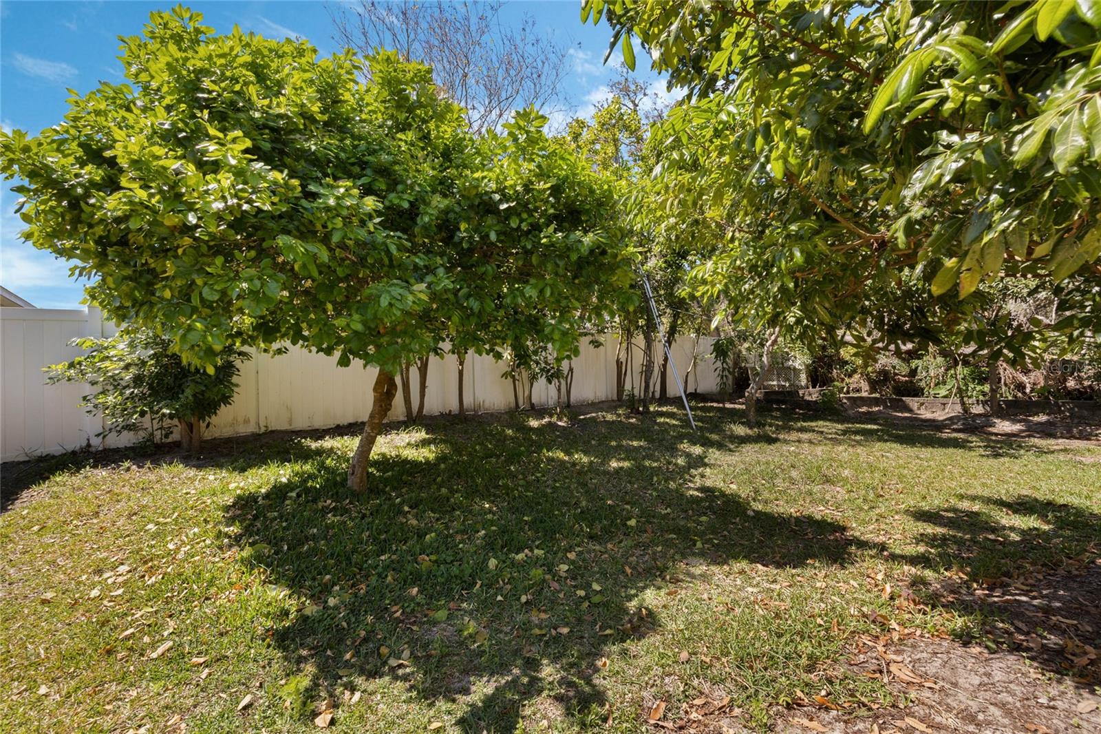 2933 STAR GRASS PT, OVIEDO, FL, 32766